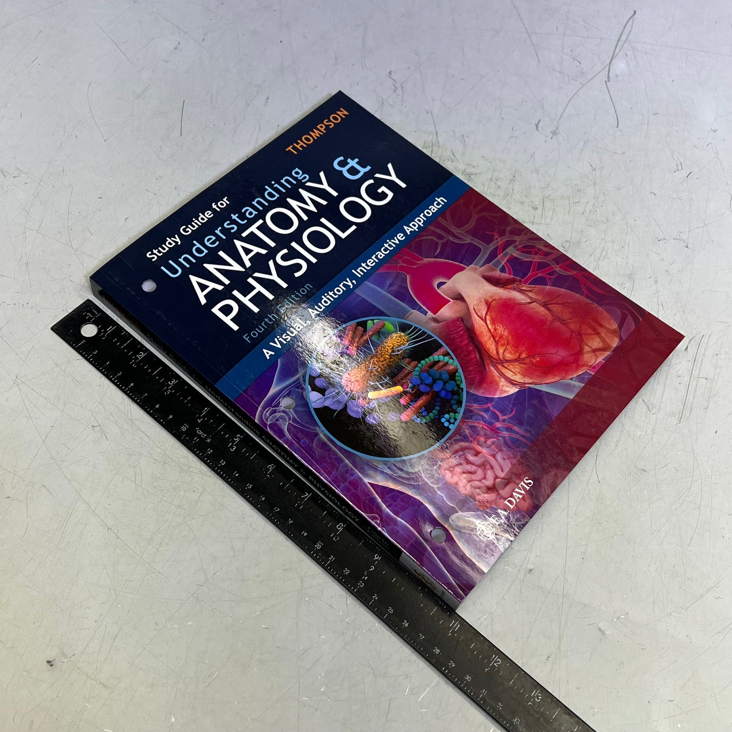 STUDY GUIDE FOR UNDERSTANDING ANATOMY & PHYSIUOLOGY 4TH ED Paperback Book