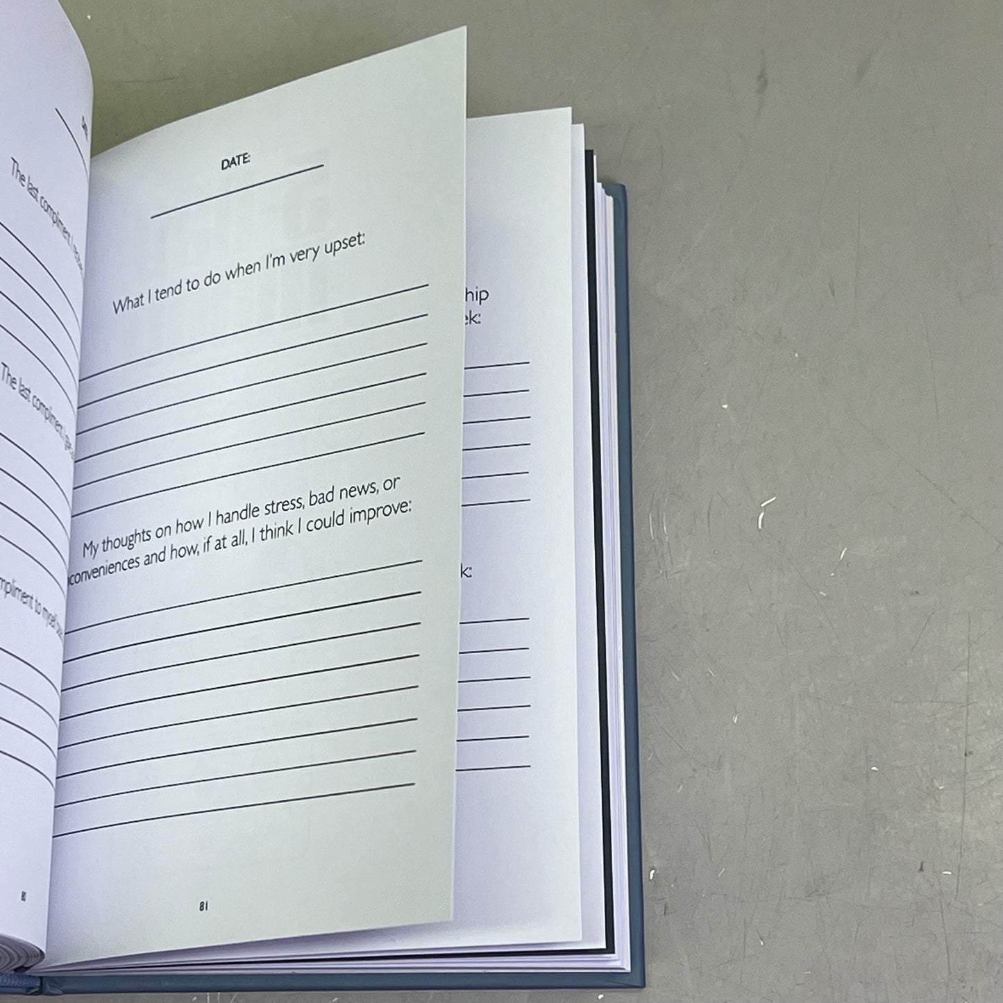 MY HEARTS CONTENT Hardcover Comic, Journal & Sticker Book By Catana Chetwynd