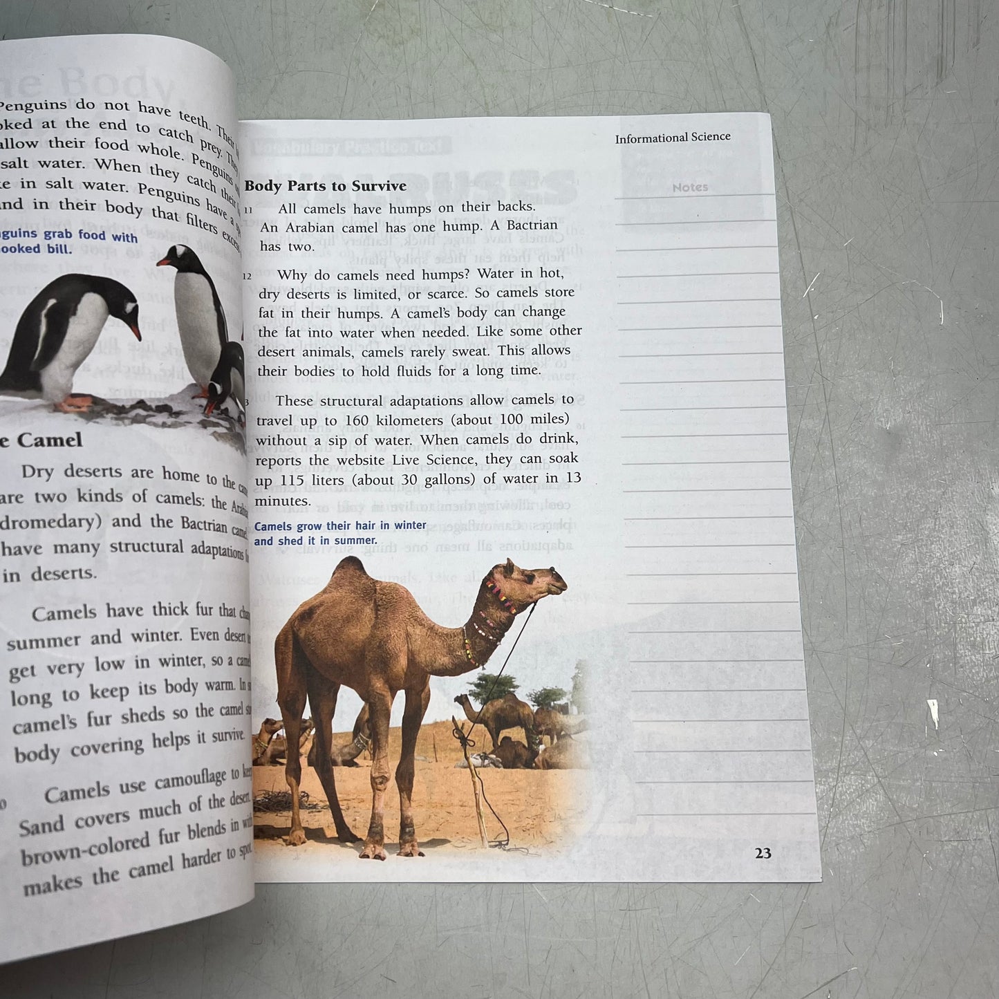 BENCHMARK Advance (National Edition) Gr. 3 Texts Close Reading Paperback Y49165