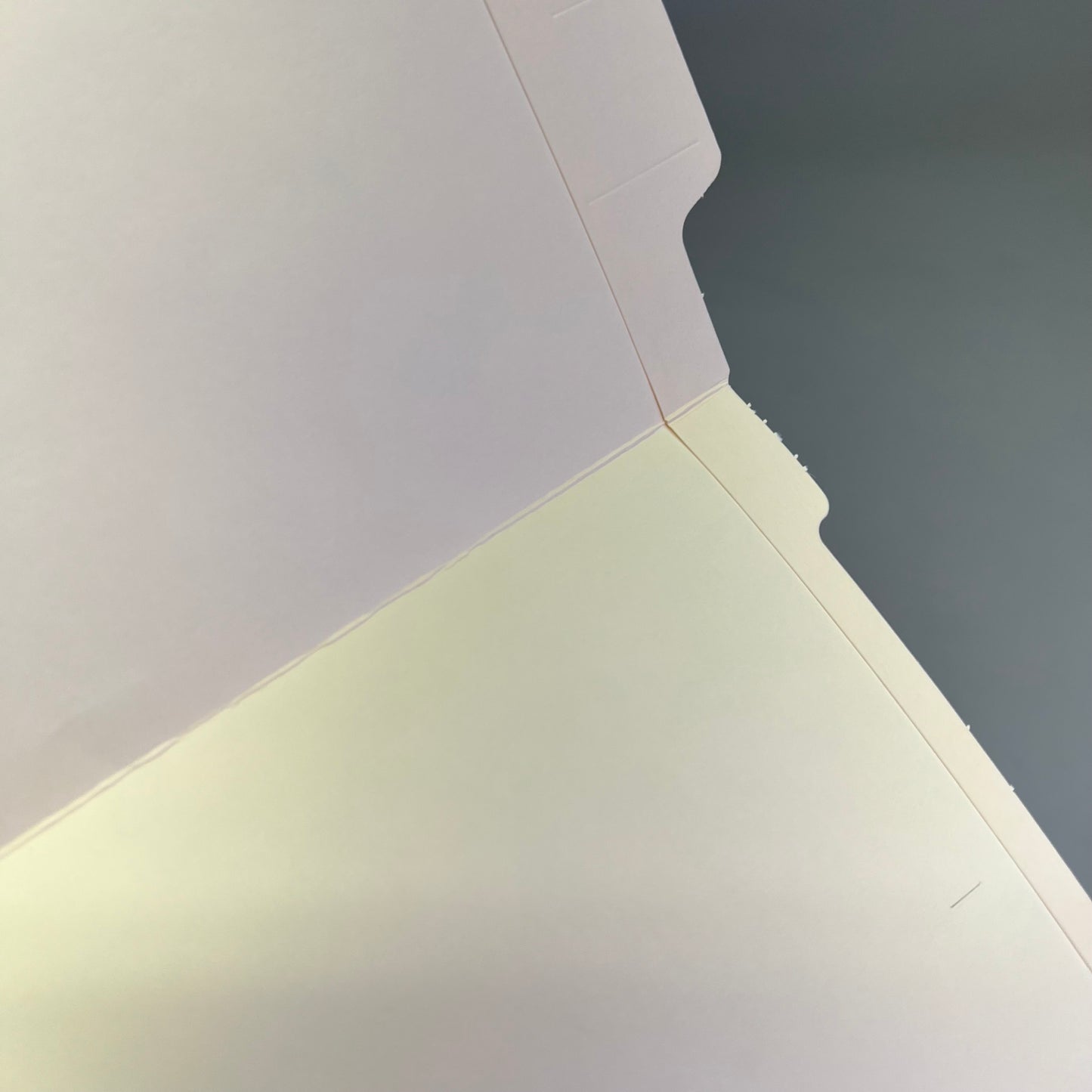 SMEAD (100 PACK) Shelf-Master End Tab File Folder Legal Sz Manila 27110