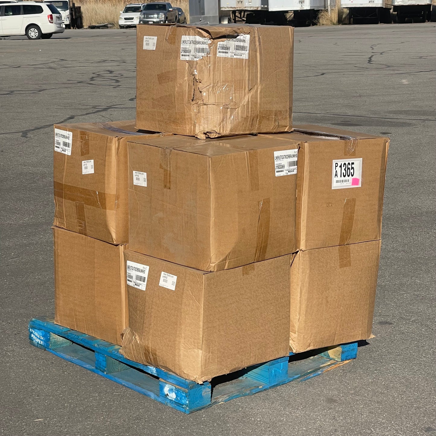 ZA@ Pallet of BERRY Linerletica/Tricorbraunwhoo Plastic Top 1250 PK!