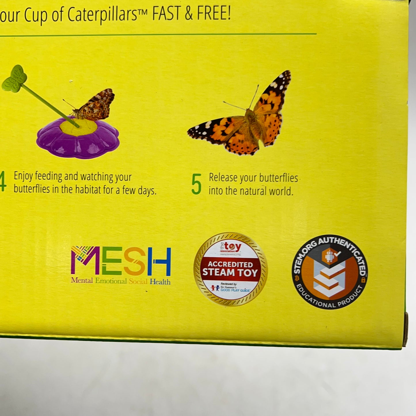 INSECT LORE The Original Raise & Release Butterfly Farm Life Cycle Kit  1015