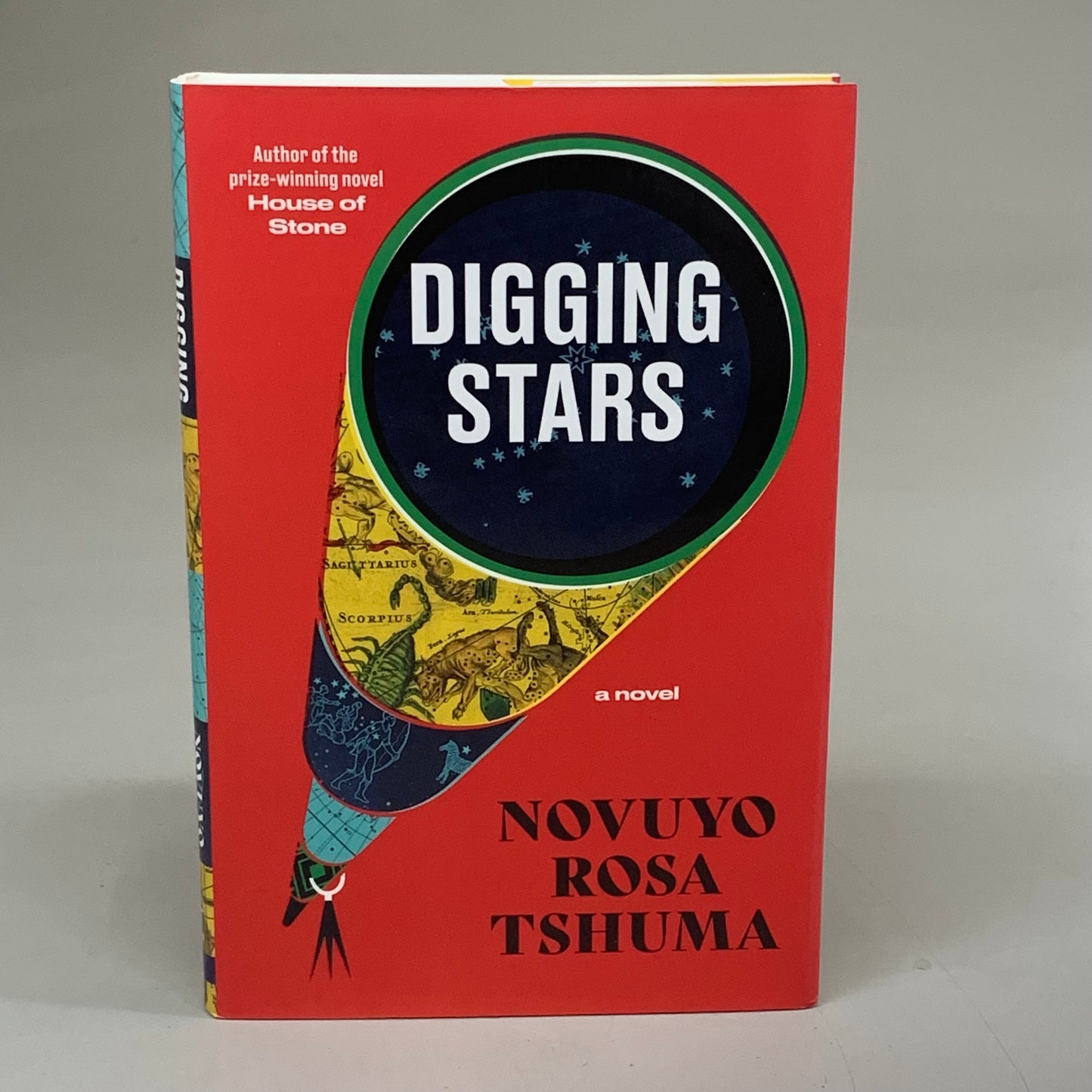 NORTON Novuyo Rosa Tshuma Digging Starts 288 Pages