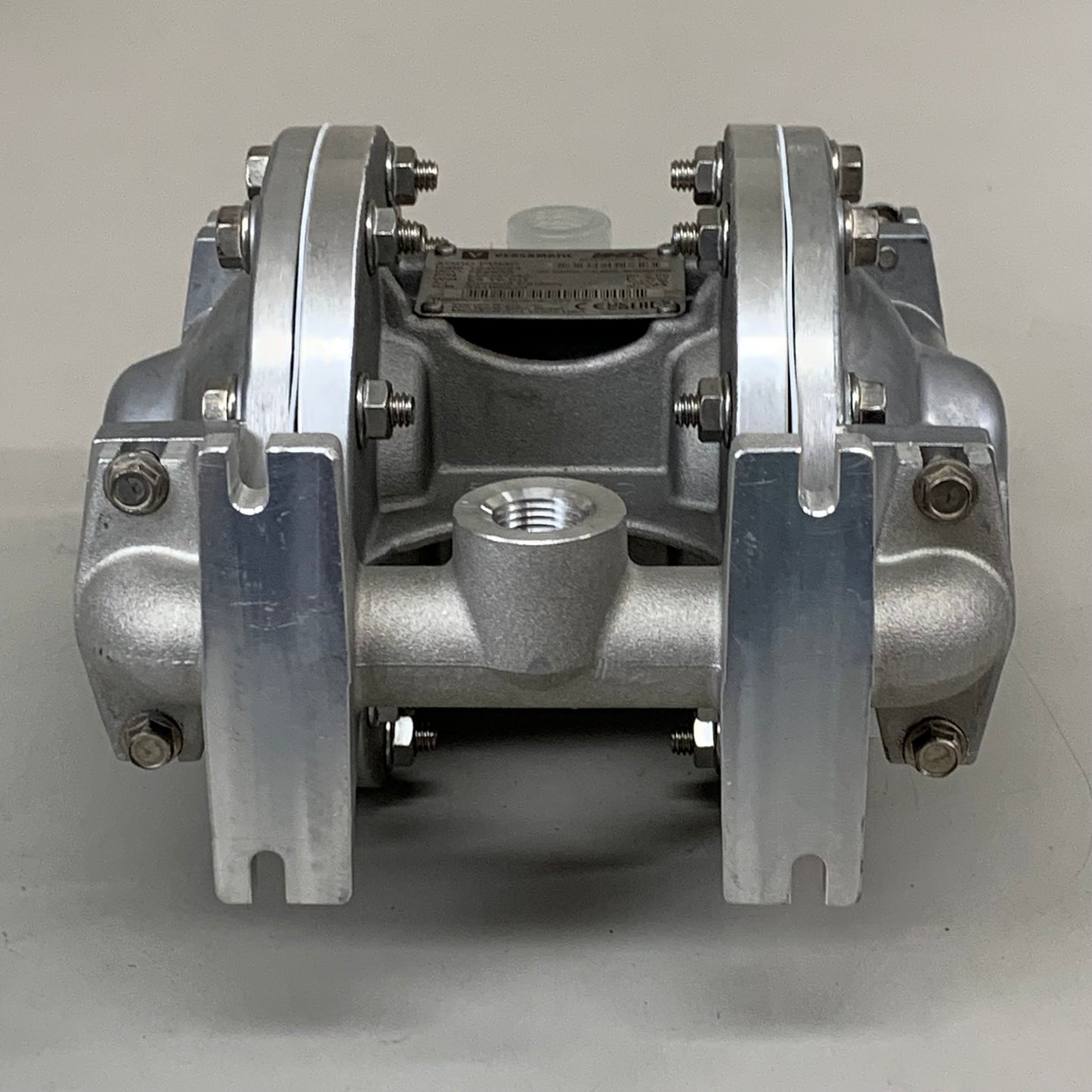 VERSAMATIC Air Operated Double Diaphragm Pump 1/2"  E5AP5T559C