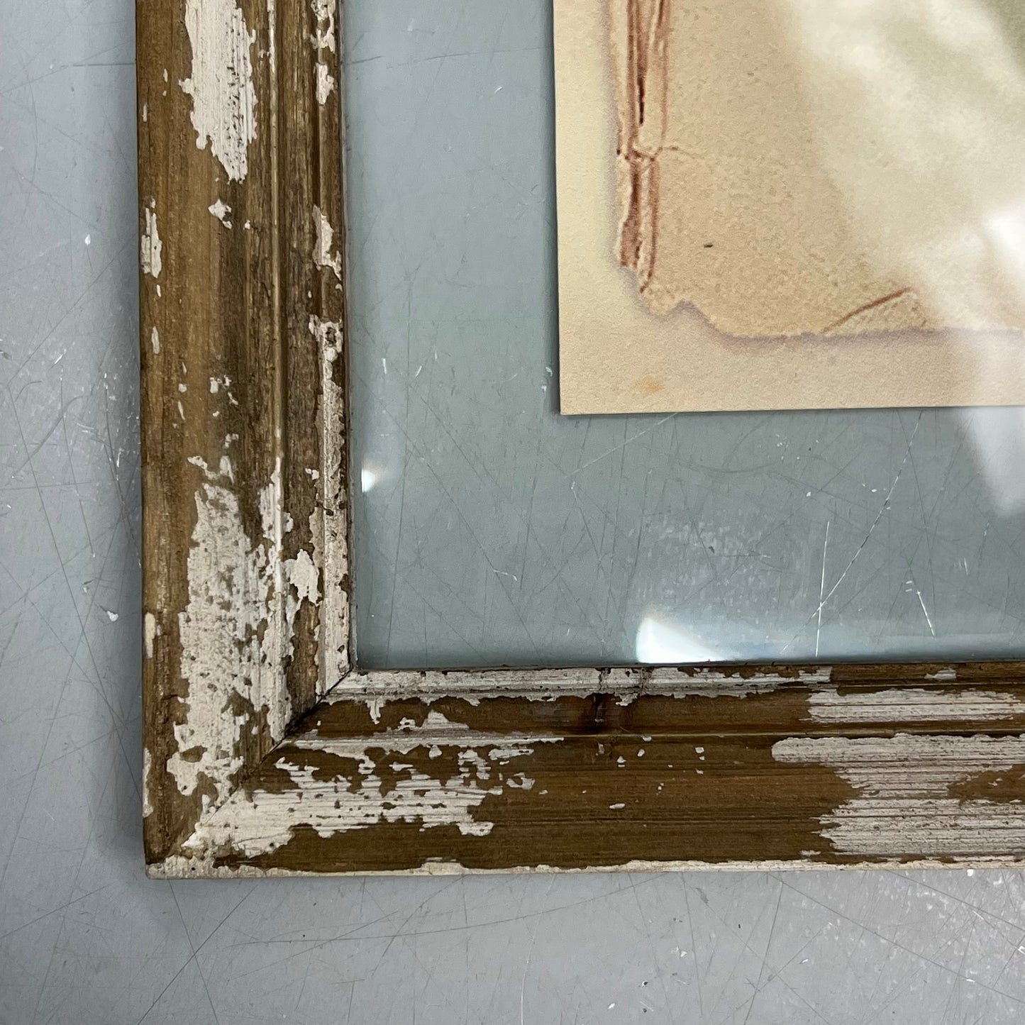 RAZ IMPORTS (SET OF 6) Farm To Table Assorted Pressed Flower Framed Art 20.5"