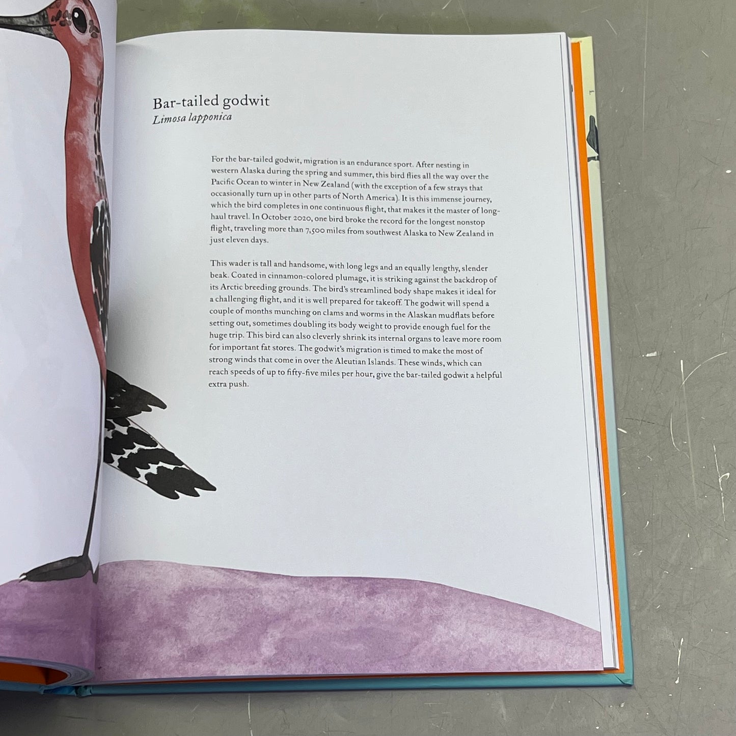 THE ATLAS OF MIGRATING PLANTS & AMINAL Hardback Book By Megan Lee (As-is)