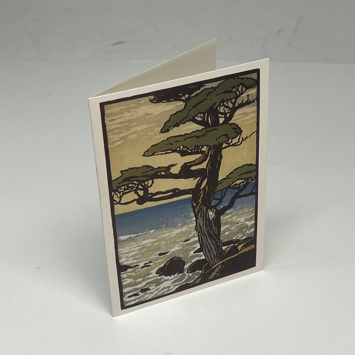 POMEGRANTE (20 PACK) Arts & Crafts William S. Rice Notecards W/ Envelops 4x6"