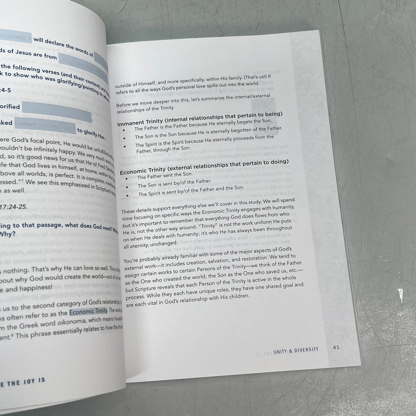 HE'S WHERE THE JOY IS  Teen Bible Study Paperback Book By Tara-Leigh Cobble