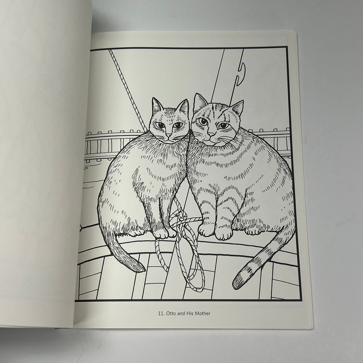 ZA@ POMEGRANATE Mimi Vang Olsen Cats Coloring Book Soft Cover