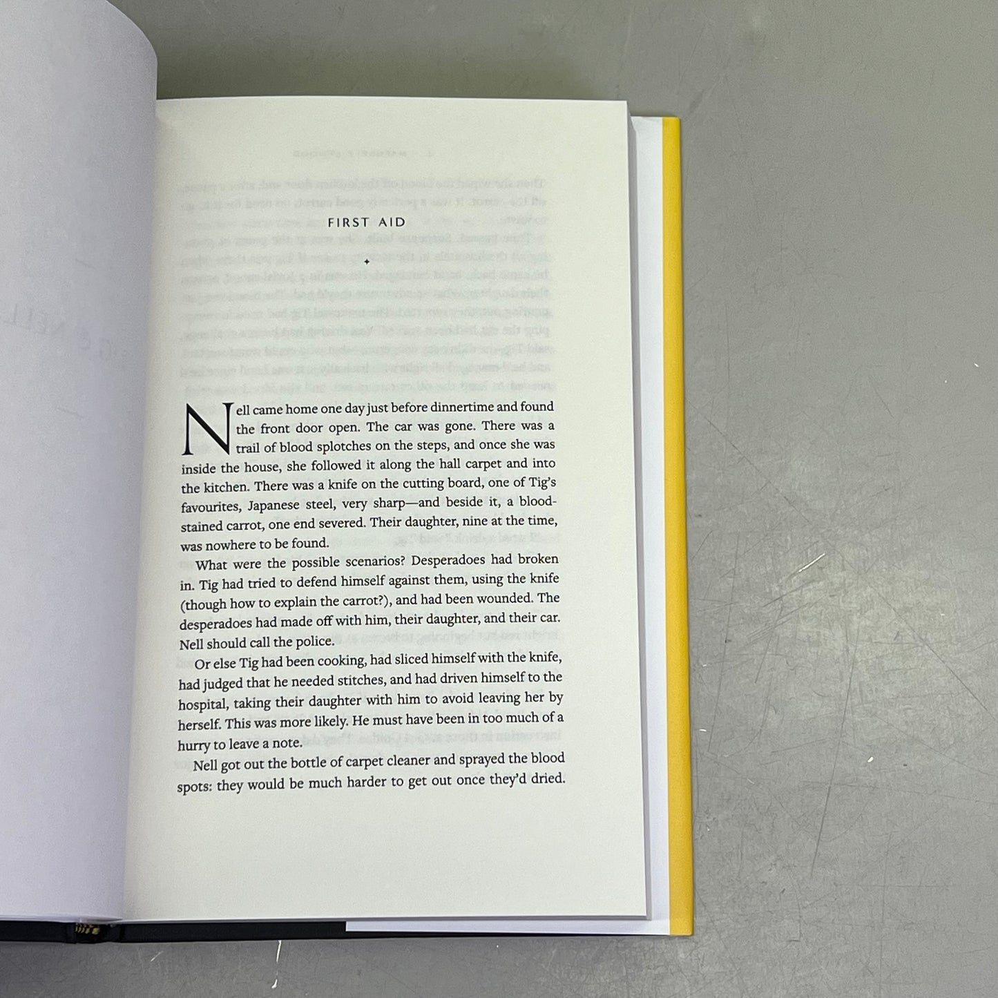 OLD BABES IN THE WOOD Stories Hardback By Margret Atwood National Bestseller