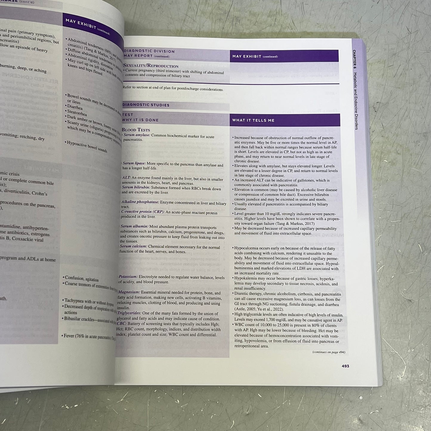 NURSING CARE PLANS 11TH EDITION Step-By-Step Paperback Book Marilynn E Doenges