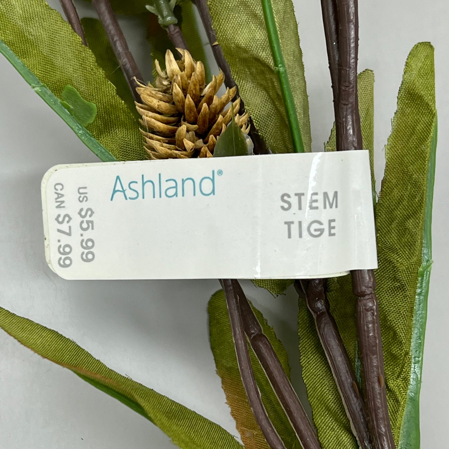 ASHLAND (4 PACK) Toast Thistle Buds Stem for Arrangements Natural Thistle