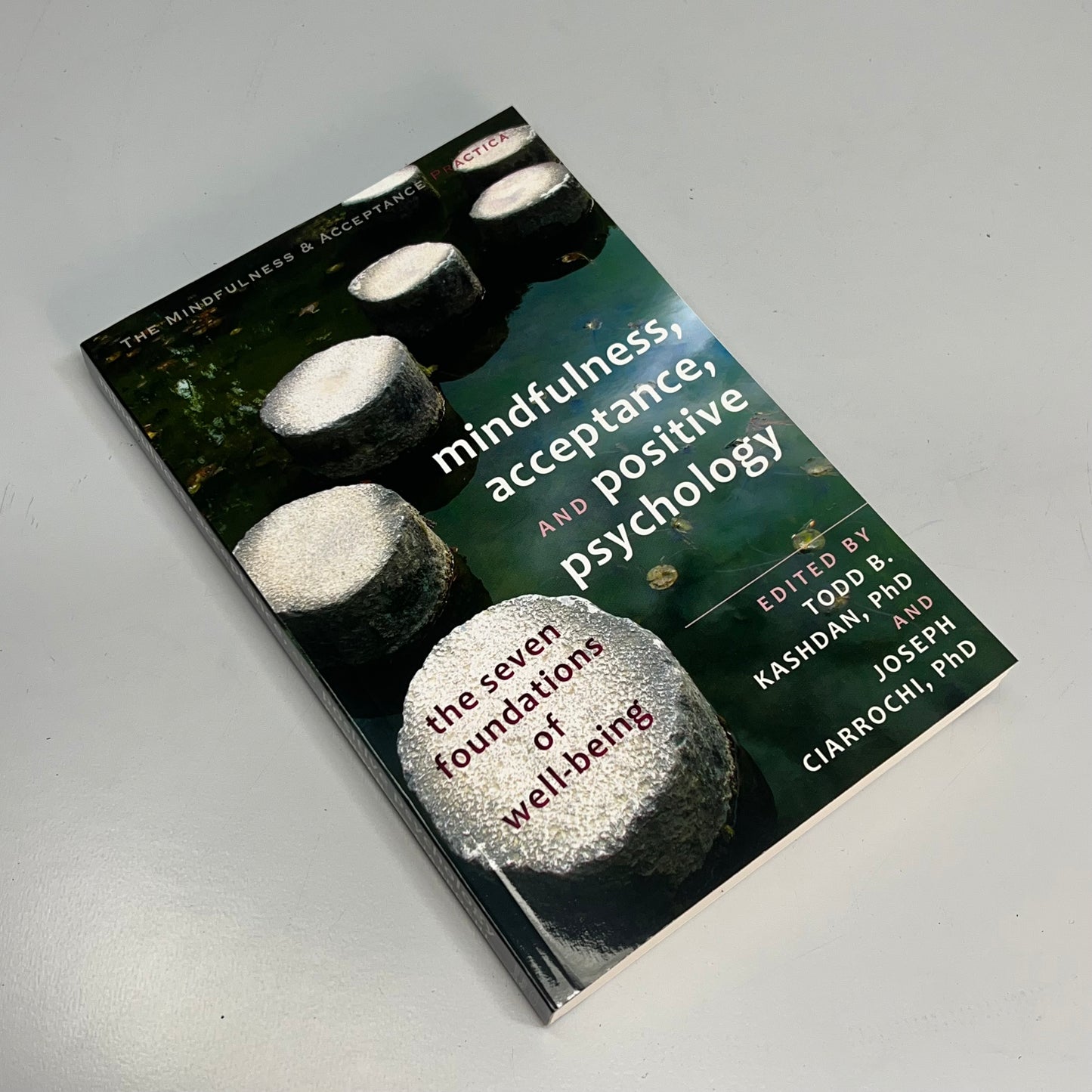 MINDFULNESS, ACCEPTANCE & POSTIVE PSYCHOLOGY Book Edited By Todd B & Joseph