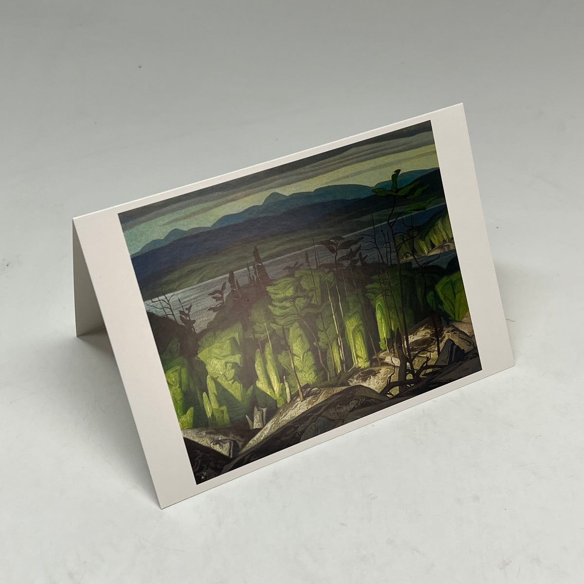 POMEGRANATE (20 PACK) The Group Of Seven Boxed Notecard W/ Envelopes 4x6" 0380