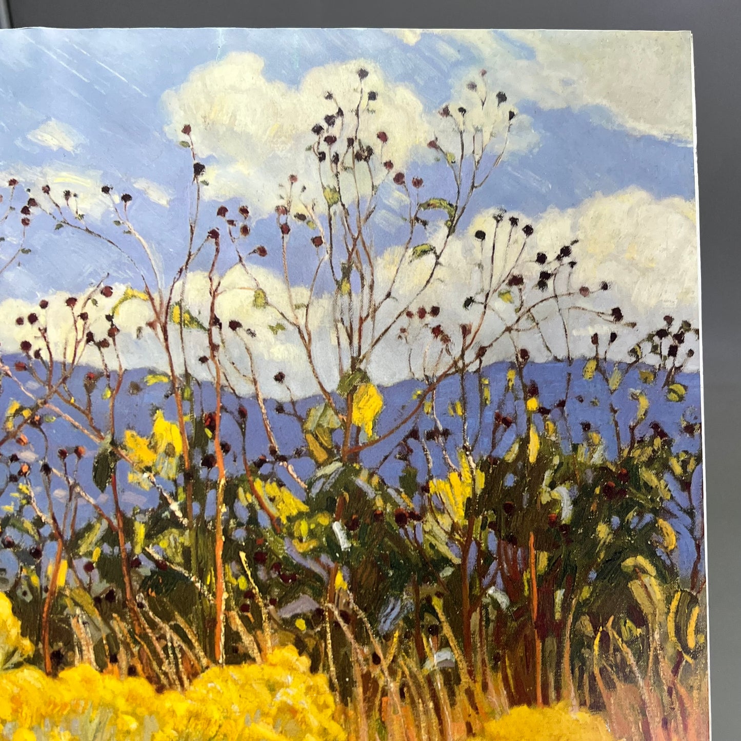 E. MARTIN HENNINGS Desert Land Painting On Foam Board 19"x15" (Like New)