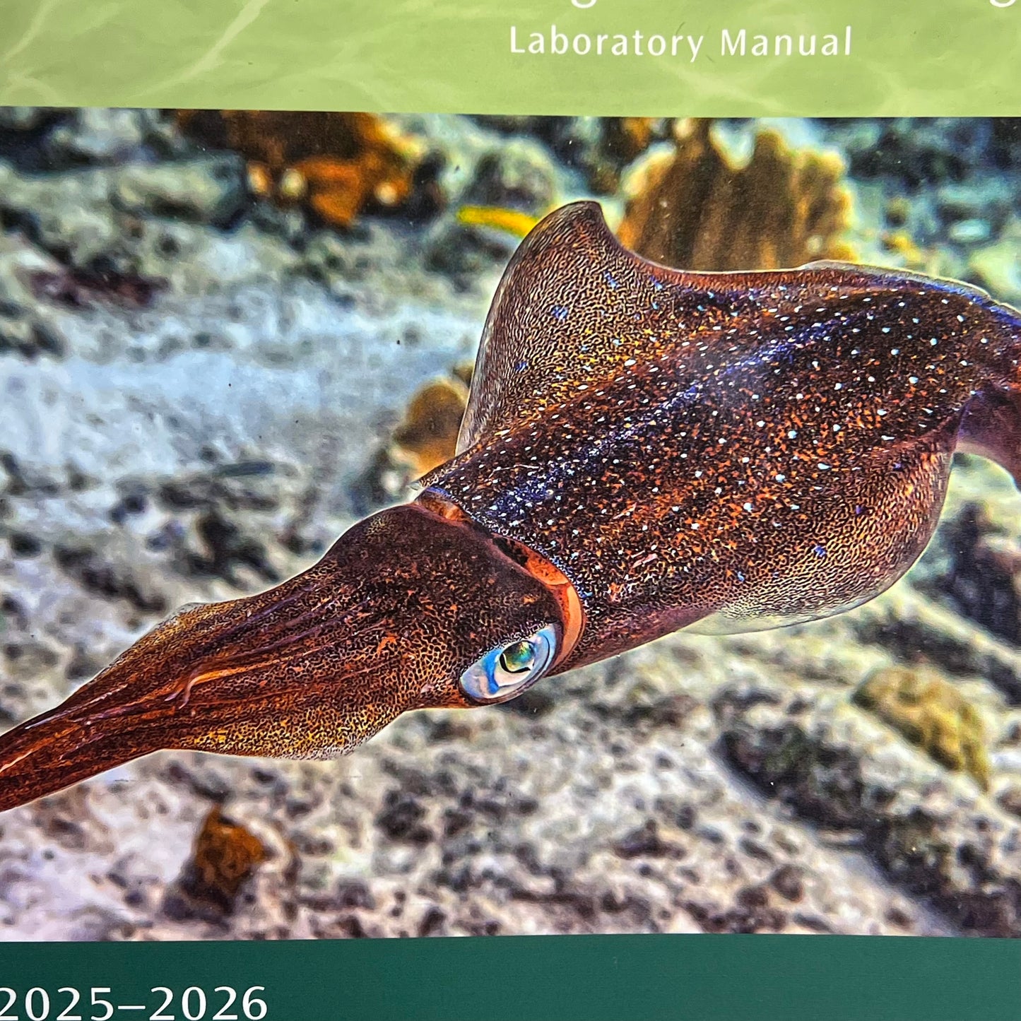 BIOLOGY 106 Organism Biology Spiral Laboratory Manual By Hayden Mcneil 7412-9