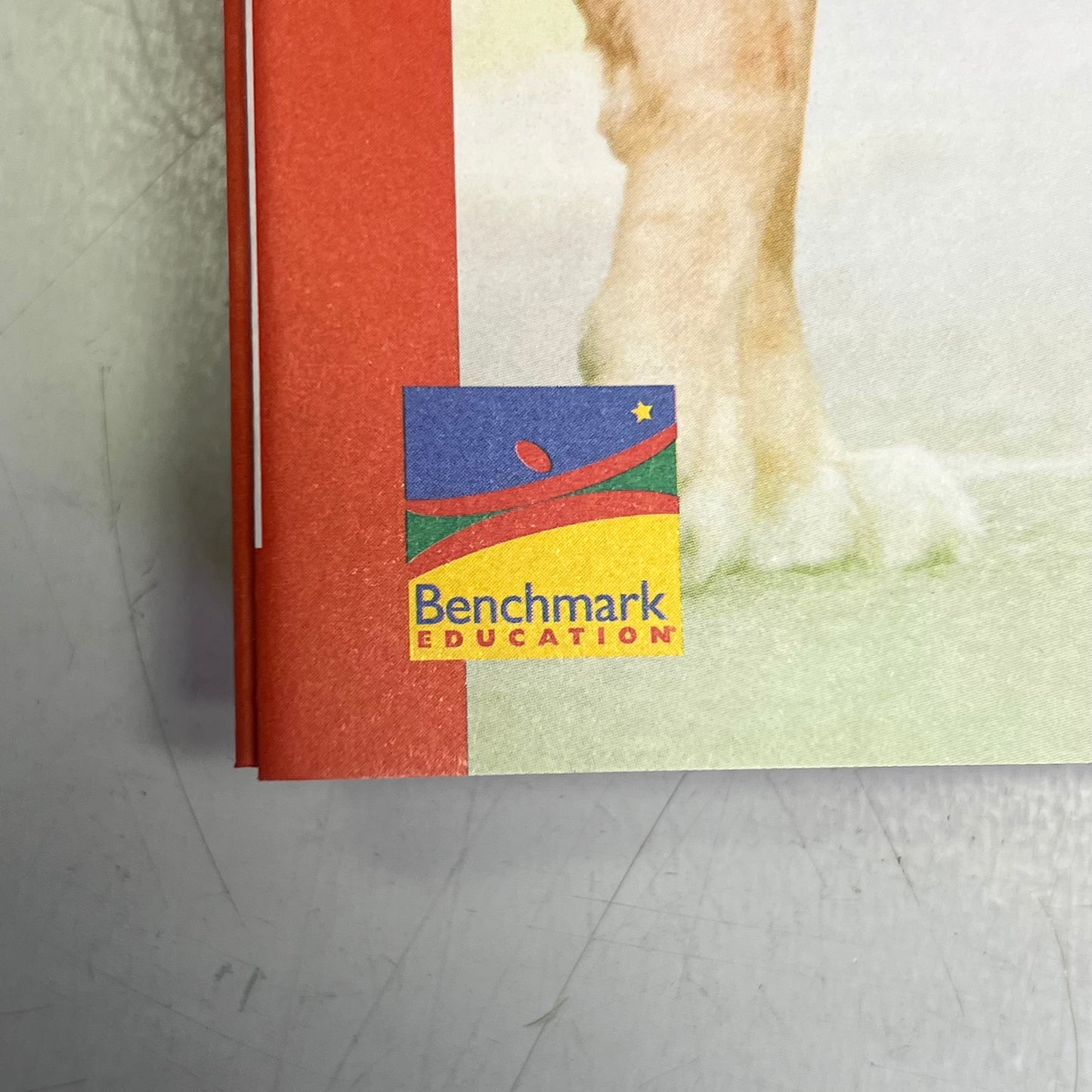 BENCHMARK EDUCATION (10 SET) Multiple Learning Point Books Grade 4 Spanish Edition