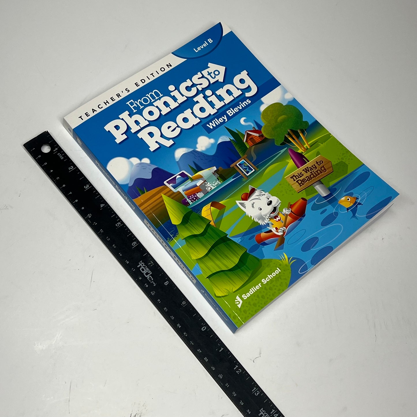 FROM PHONICS TO READING Level B Teachers Edition Wiley Blevins Paperback Book