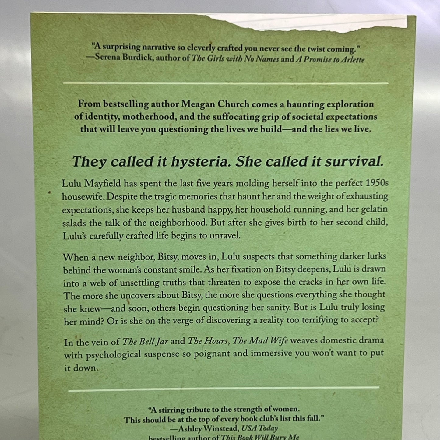 THE MAD WIFE Megan Church, A Haunting, Hopeful Tale of Resilience