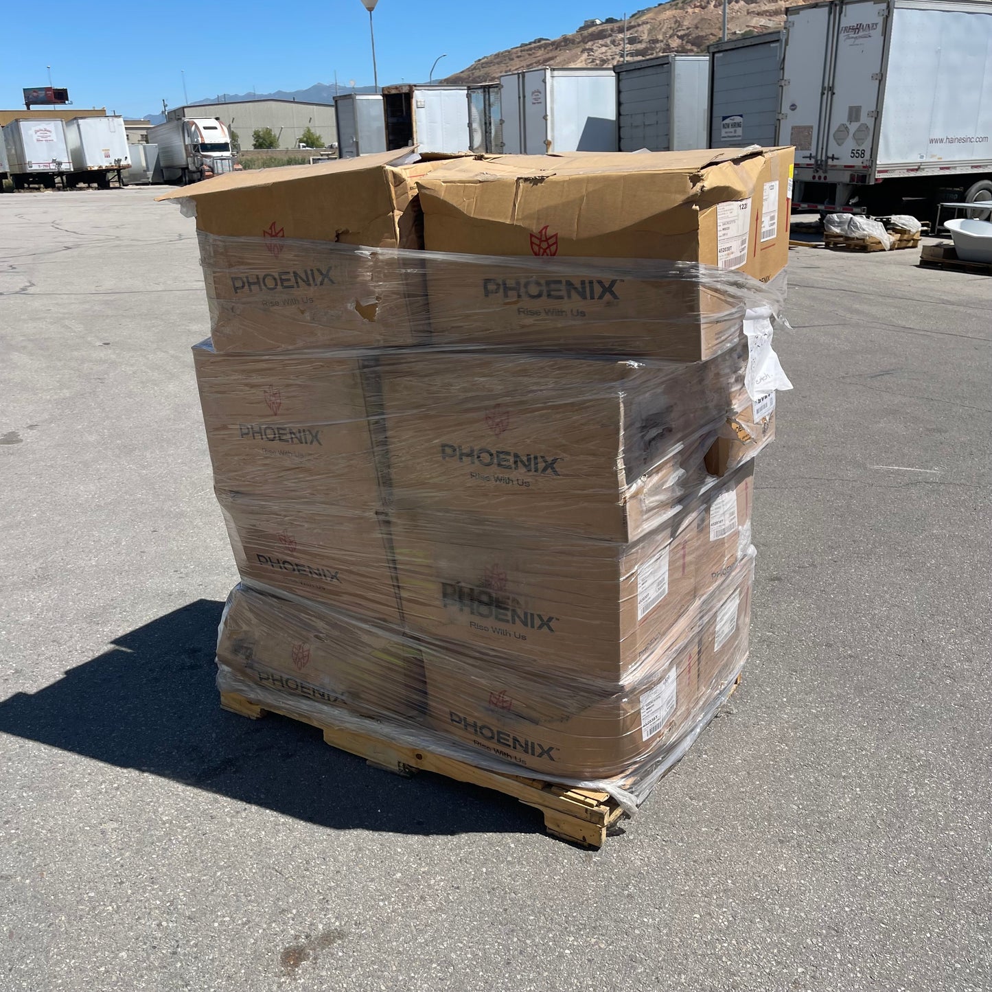 ZA@ Pallet of PHOENIX Safety Lids for Medicine Bottles White 045CRCSTPTA (New)