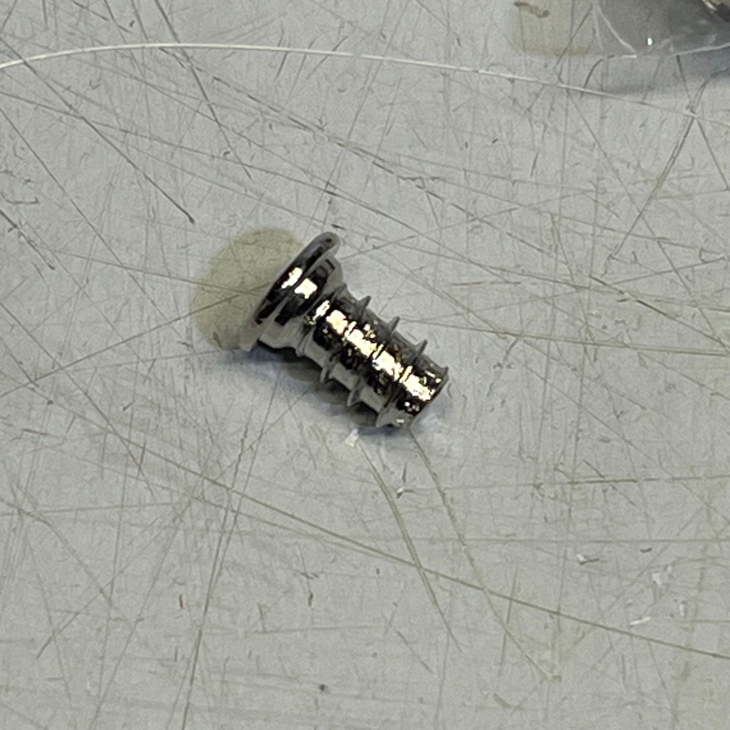 ZA@ (LOT OF 2) Hardware Adjustable Shelving Studs & Philip Head Chubby Screws Chrome