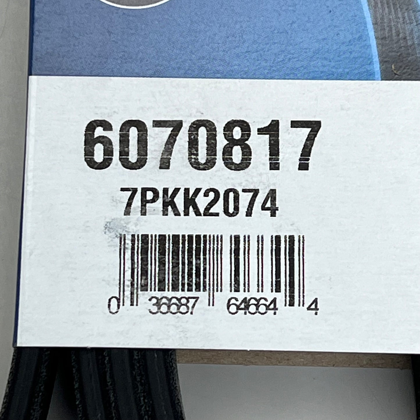 DAYCO Poly-V Serpentine Belt for Porsche, Volkswagen & Audi 6070817 OEM