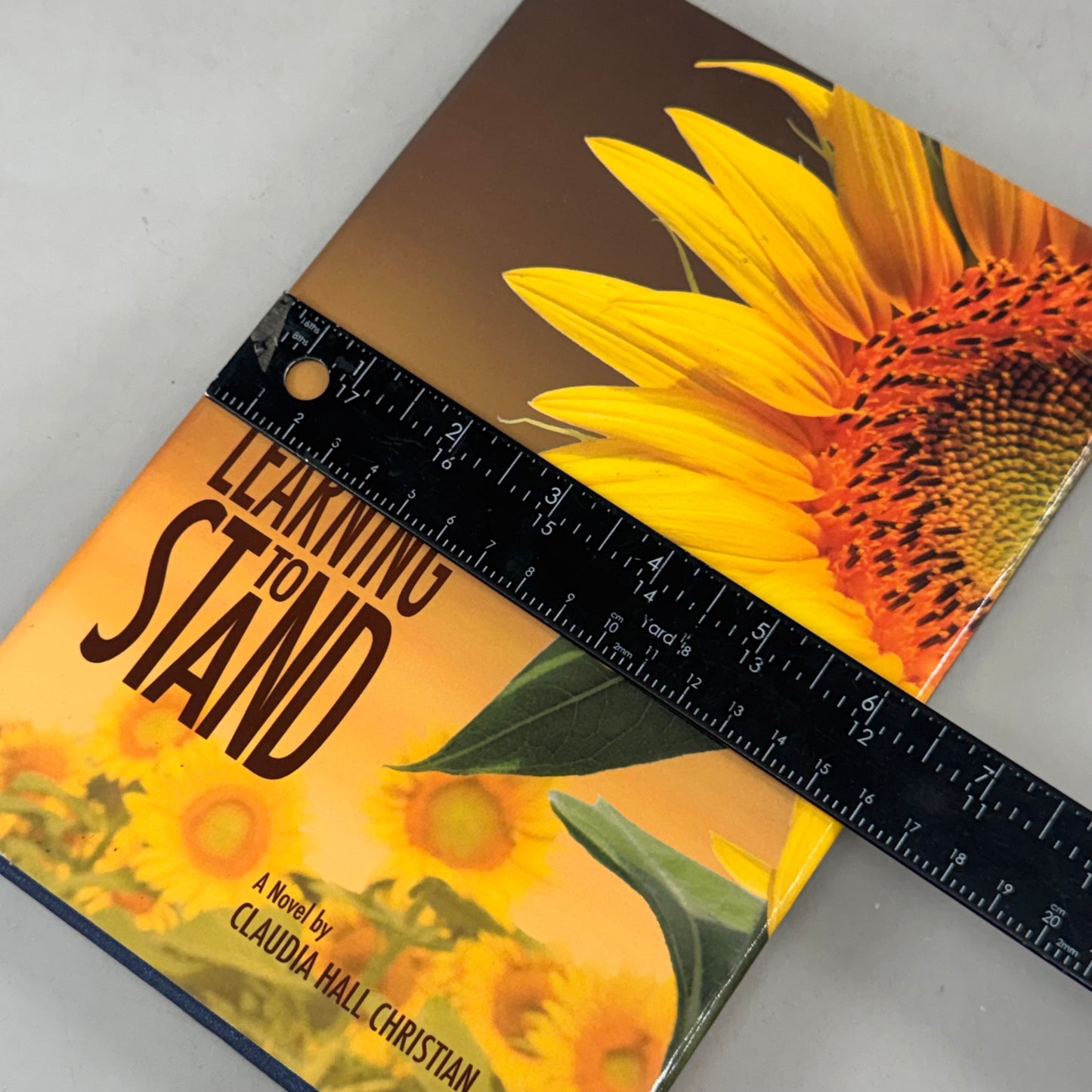 COOK STREET PUBLISHING  (Hardcover) Learning to Stand  Claudia Hall Christian  Book 2 In The Alex The Fey Thriller Series