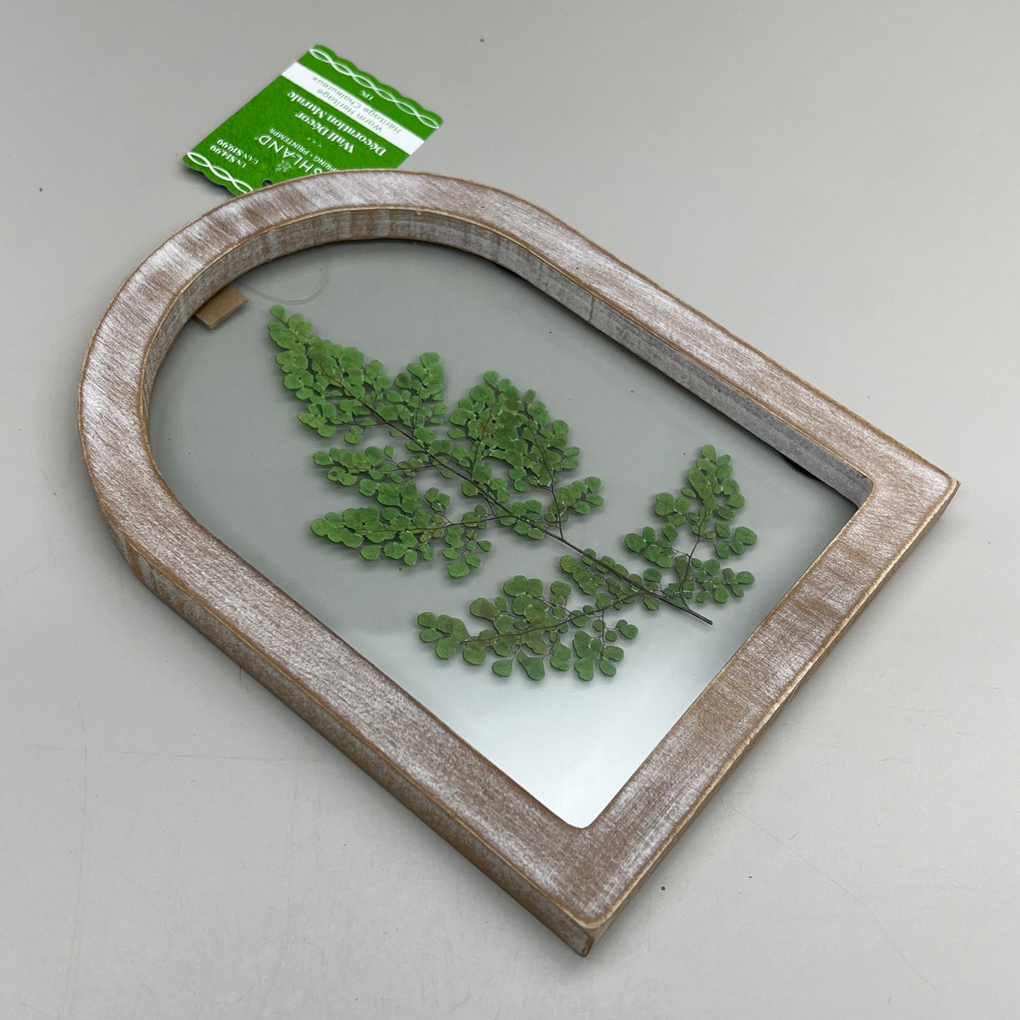 ASHLAND 2 Piece Set of 8in X 6in Wood Framed Hangable Glass Wall Art Plants 73476