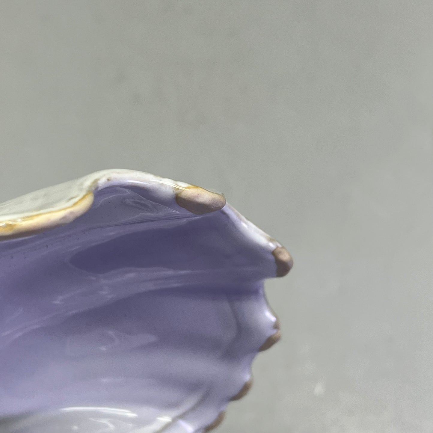 CREATIVE CO-OP (3 PACK) Reactive Crackle Glaze Stoneware Shell Plate White 8635