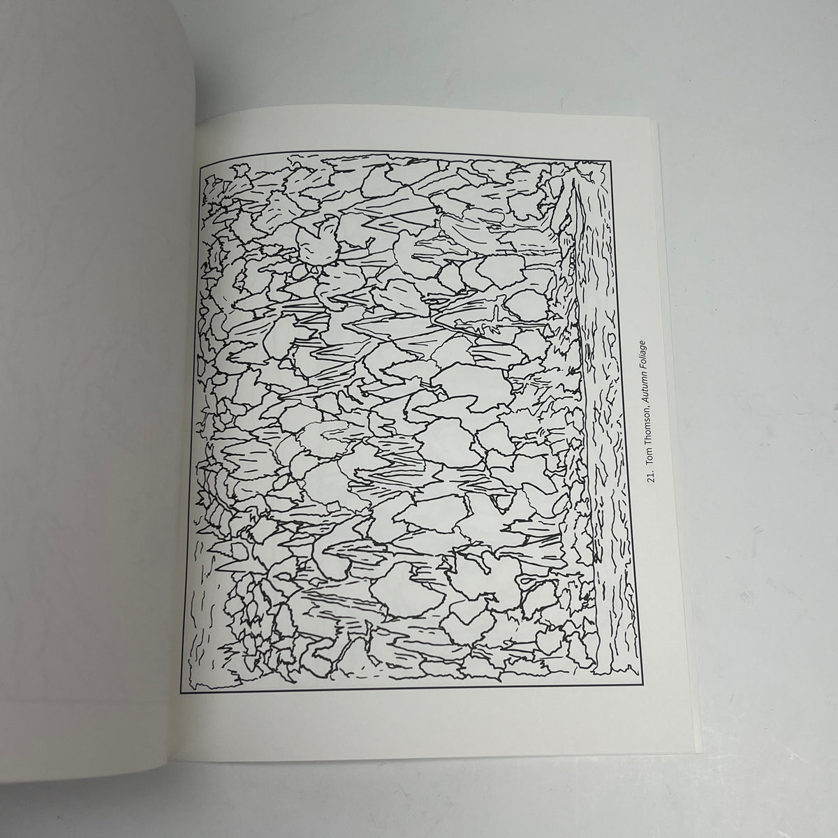 ZA@ POMEGRANATE Group Of Seven Coloring Book Soft Cover 22 Images