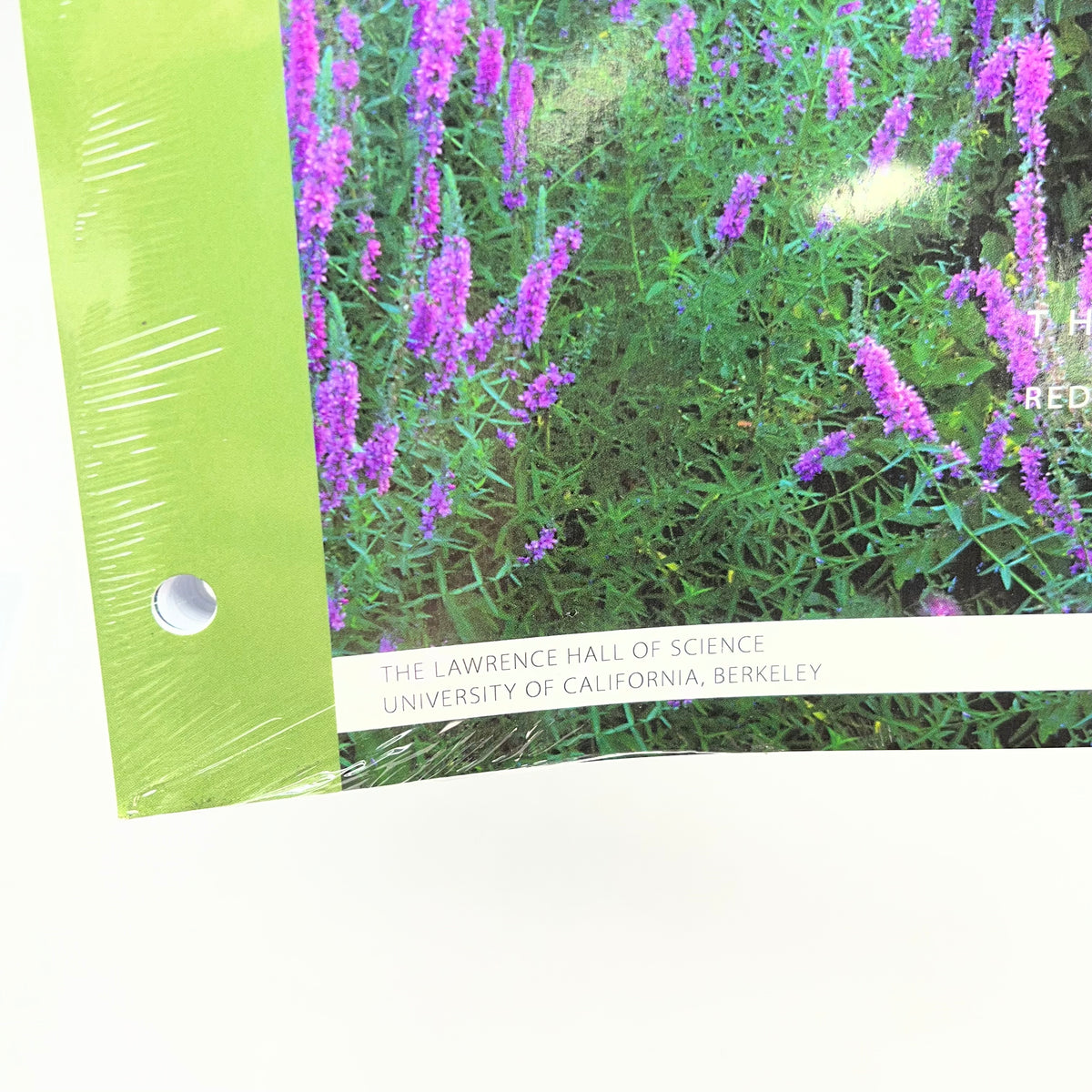 LAB AIDS Issues & Life Science Ecology Teacher Edition Revised 3rd Ed & Binder