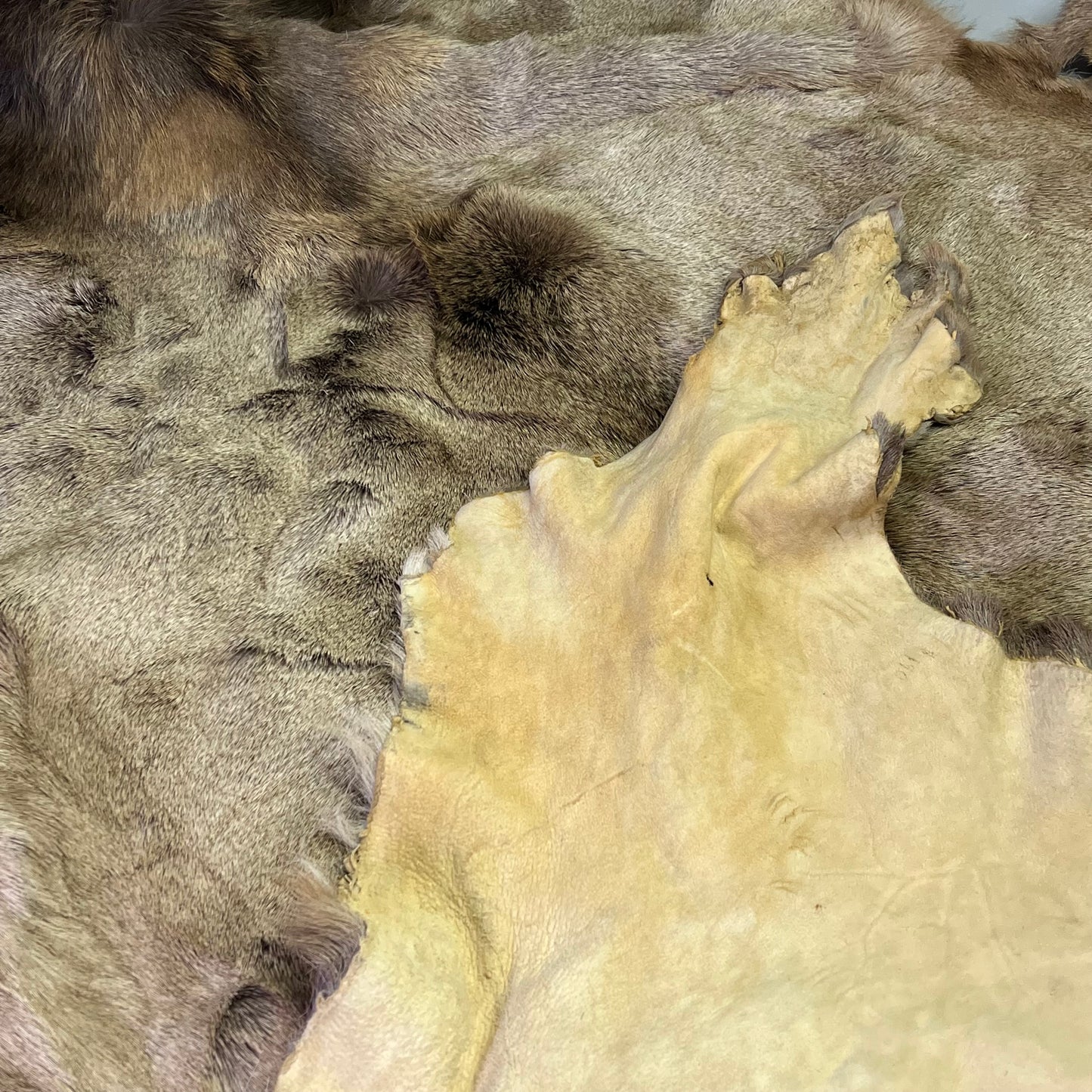 Large Real Elk Hide Rug/Home Décor 68"X55" Brown/Tan