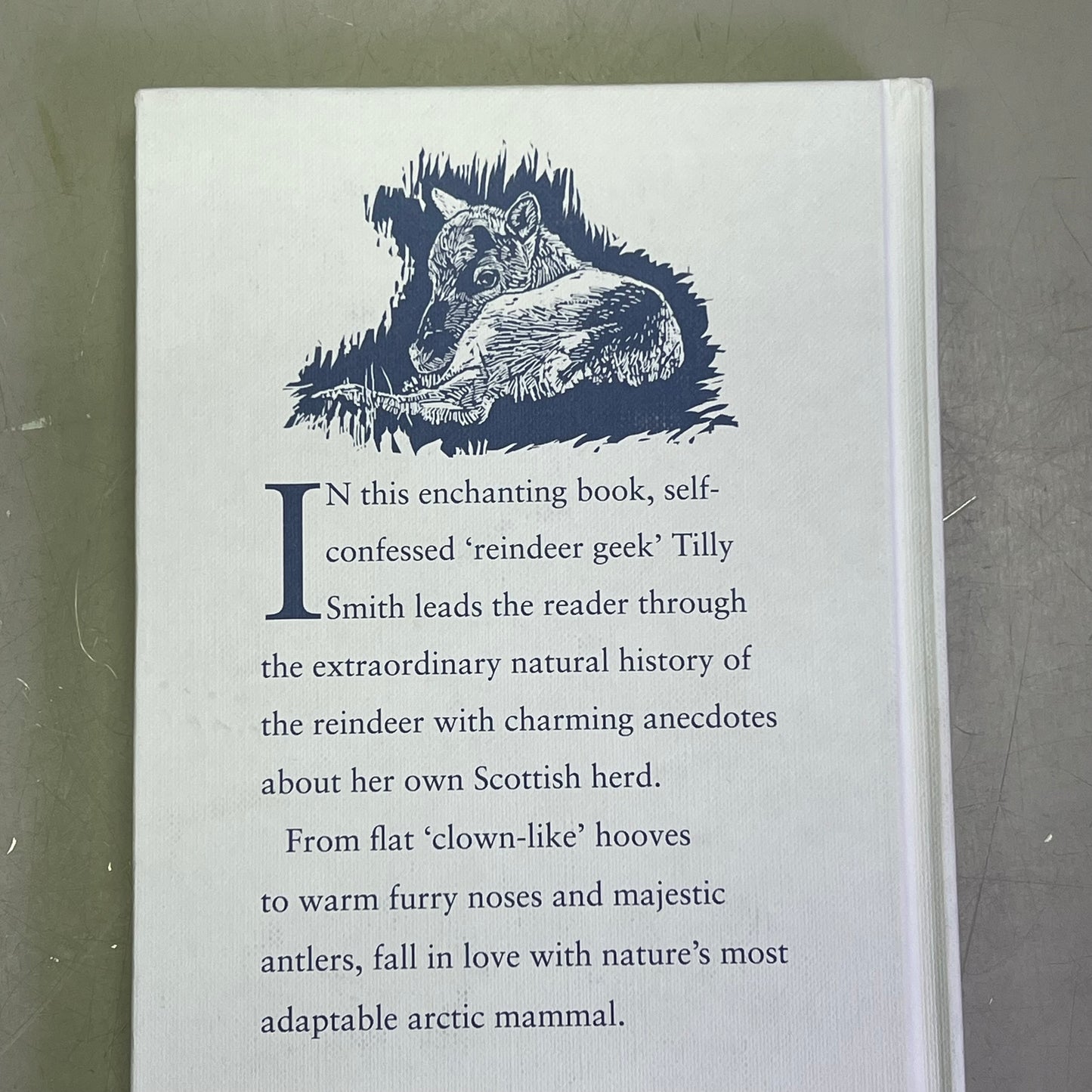 REINDEER AN ARCTIC LIFE  Natural History & Biology Hardback Book By Tilly Smith