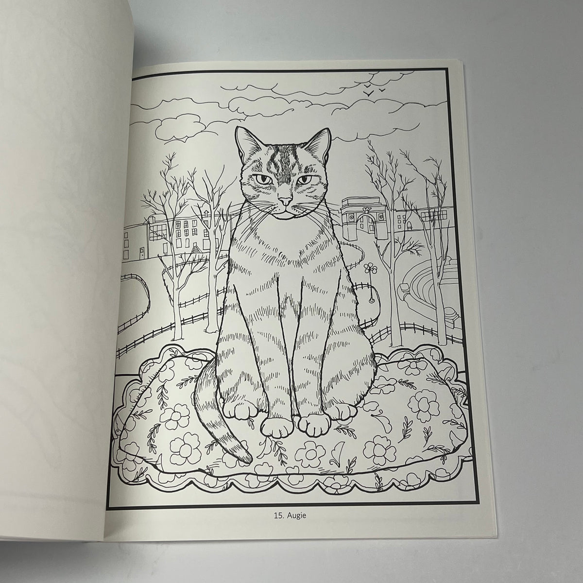 ZA@ POMEGRANATE Mimi Vang Olsen Cats Coloring Book Soft Cover