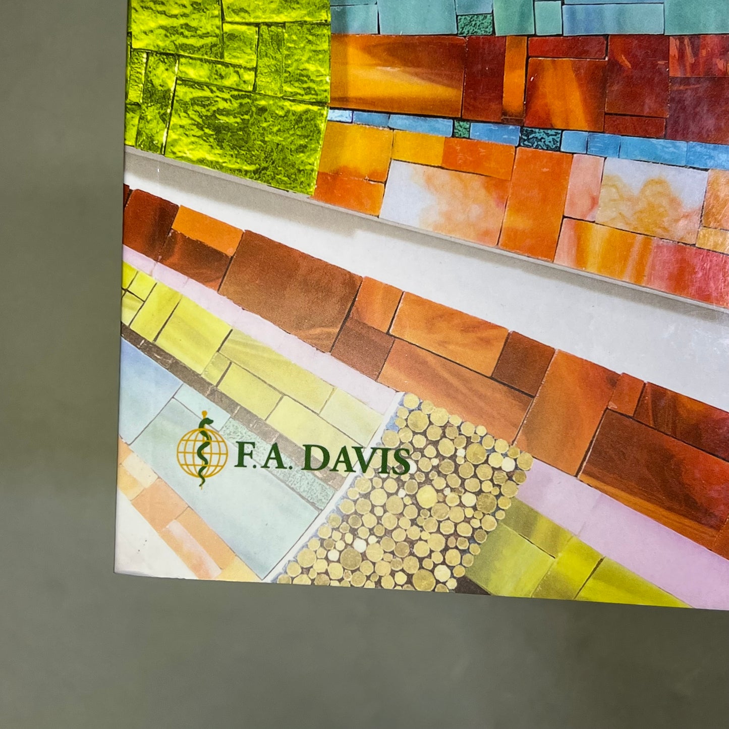 MENTAL HEALTH NURSING 6TH EDITION Paperback Book Gorman Anwar Educational