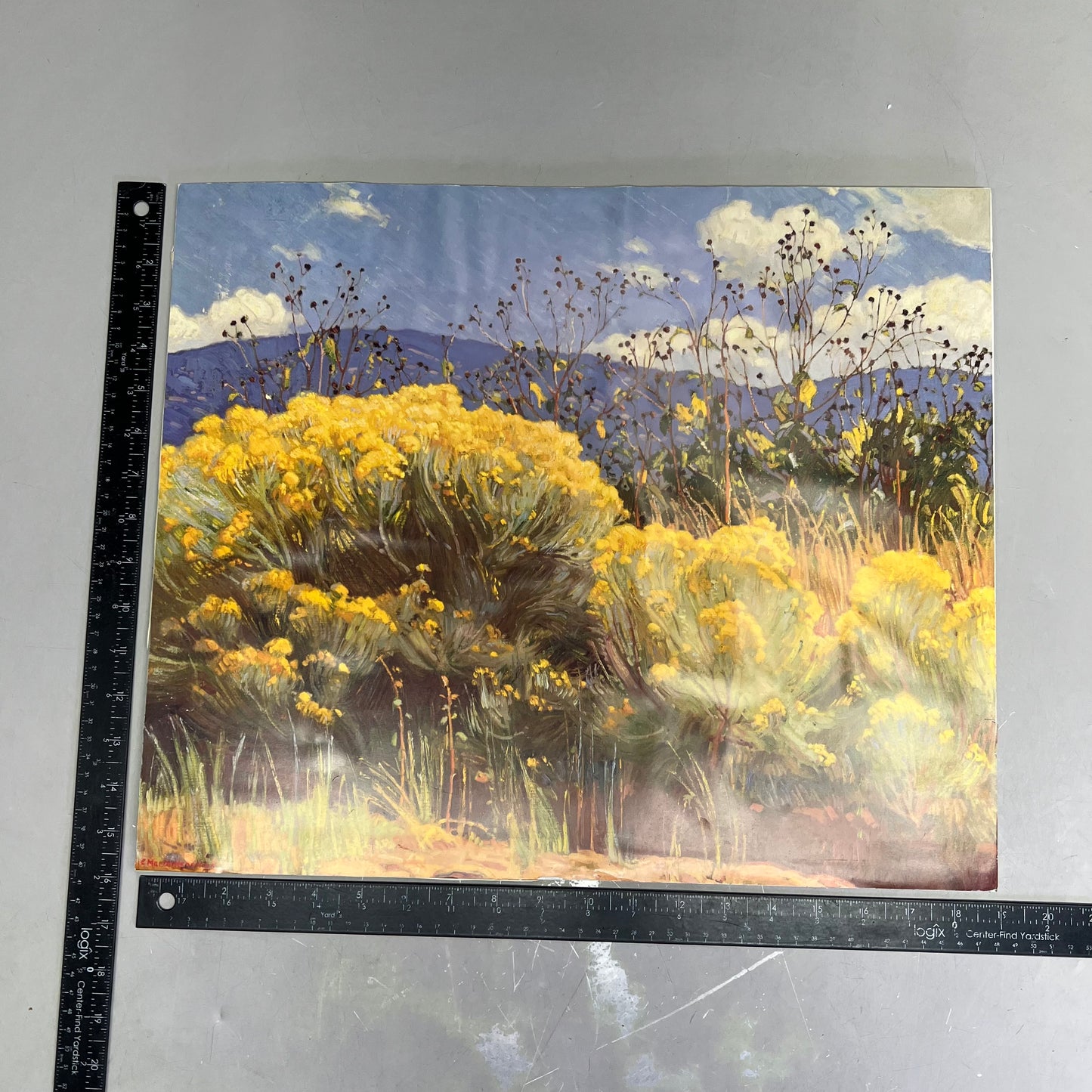 E. MARTIN HENNINGS Desert Land Painting On Foam Board 19"x15" (Like New)