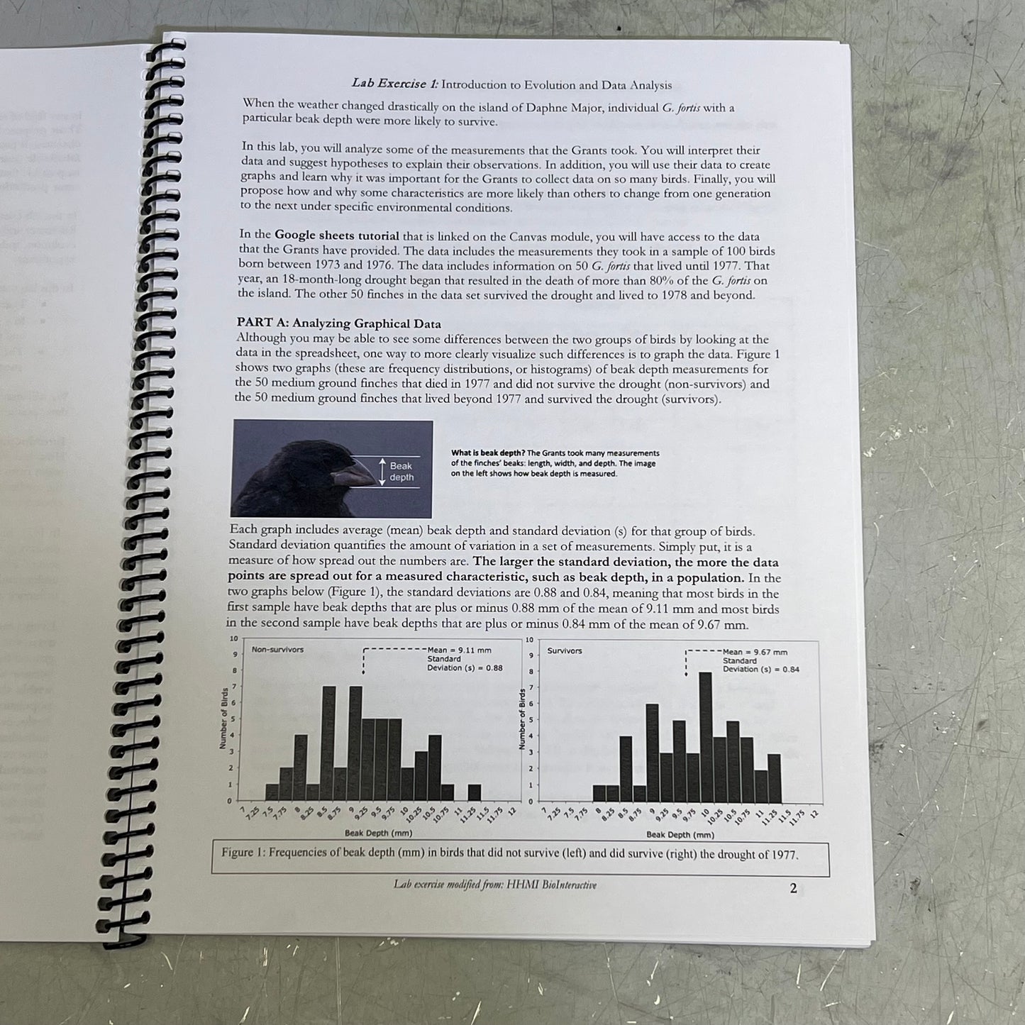 LABORATORY EXERCISES FOR ORGANISMAL BIOLOGY FALL 2025 SPRING 2026 Spiral Book