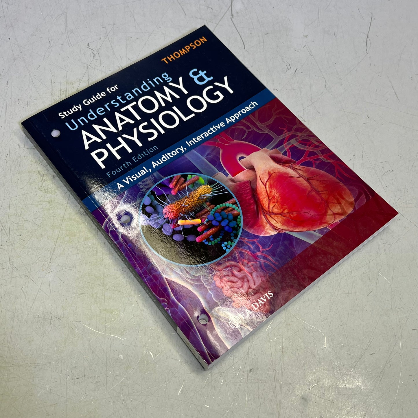 STUDY GUIDE FOR UNDERSTANDING ANATOMY & PHYSIUOLOGY 4TH ED Paperback Book