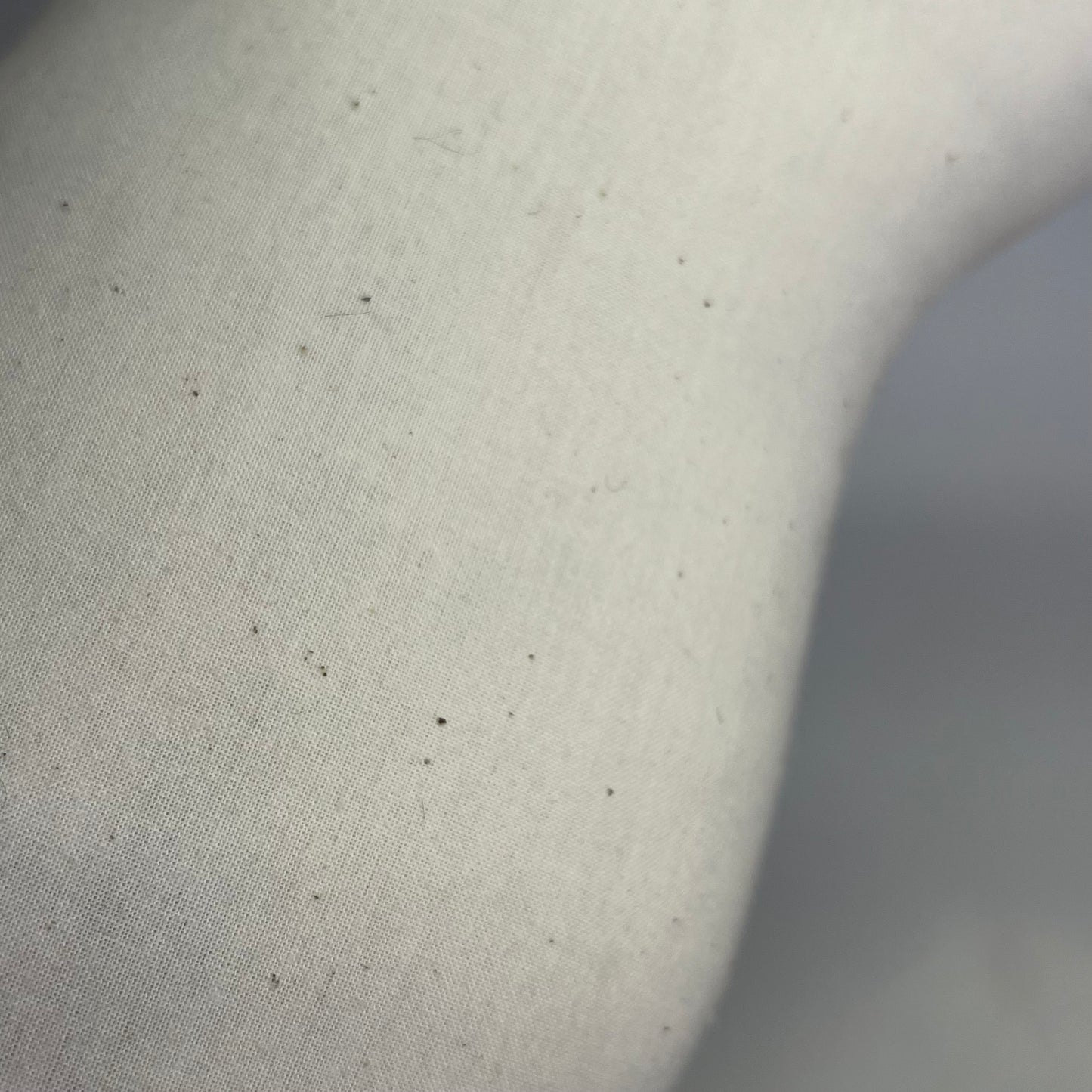 BRODERPRESS Hand Silkscreened Contoured Chihuahua Pillow 15"x9" Black & White