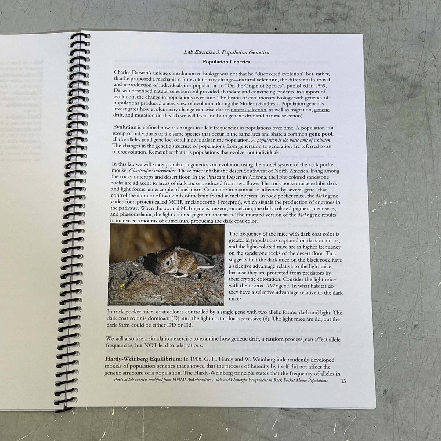 LABORATORY EXERCISES FOR ORGANISMAL BIOLOGY FALL 2025 SPRING 2026 Spiral Book