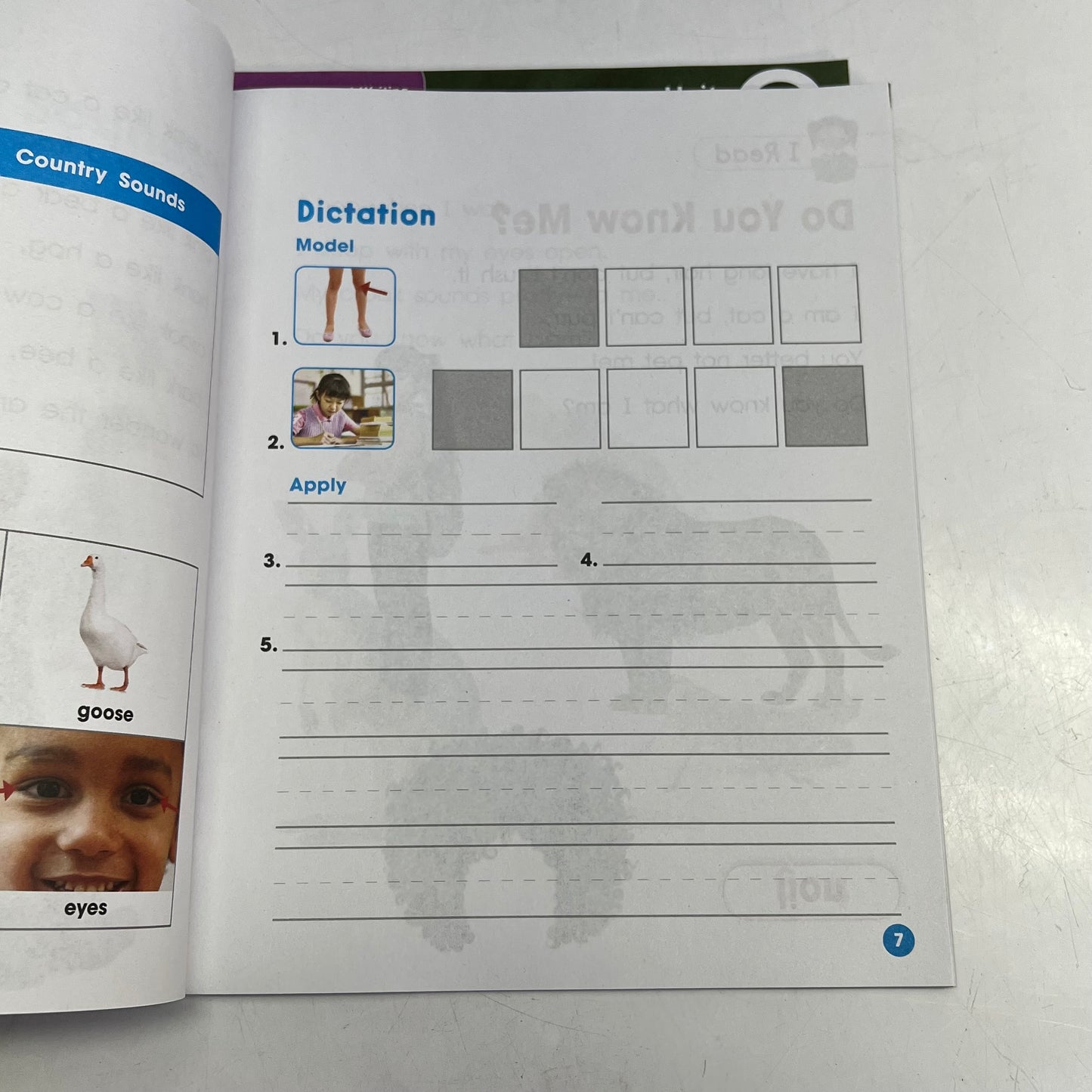 BENCHMARK Phonics & Word Study 2nd Ed Gr1 Student 5 Copy Print & Digital WH13788