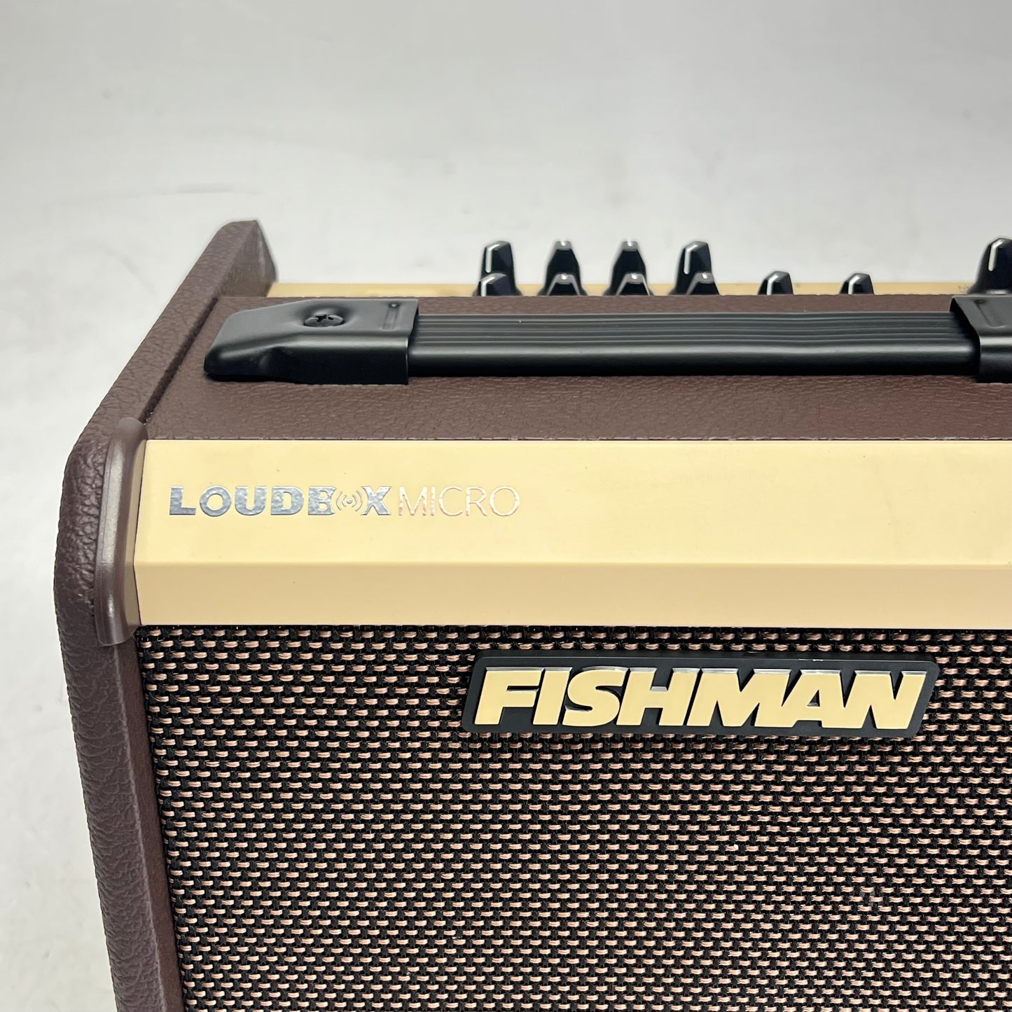 FISHMAN Loudbox Micro Acoustic Guitar Amplifier 40W 1 X 5.25" Brown PRO-LBT-4|00