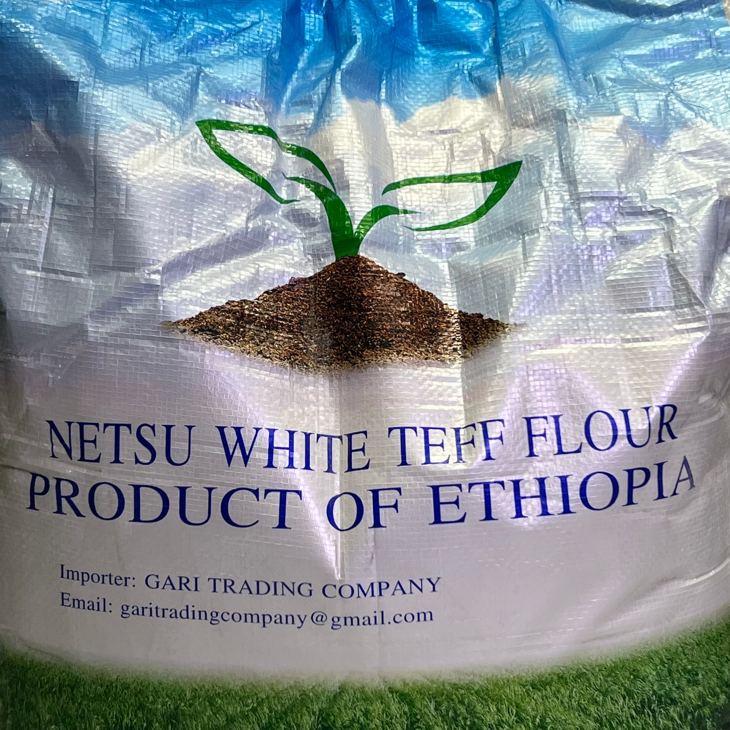 GARI TRADING Netsu White Teff Flour Product of Ethiopia 25Lbs