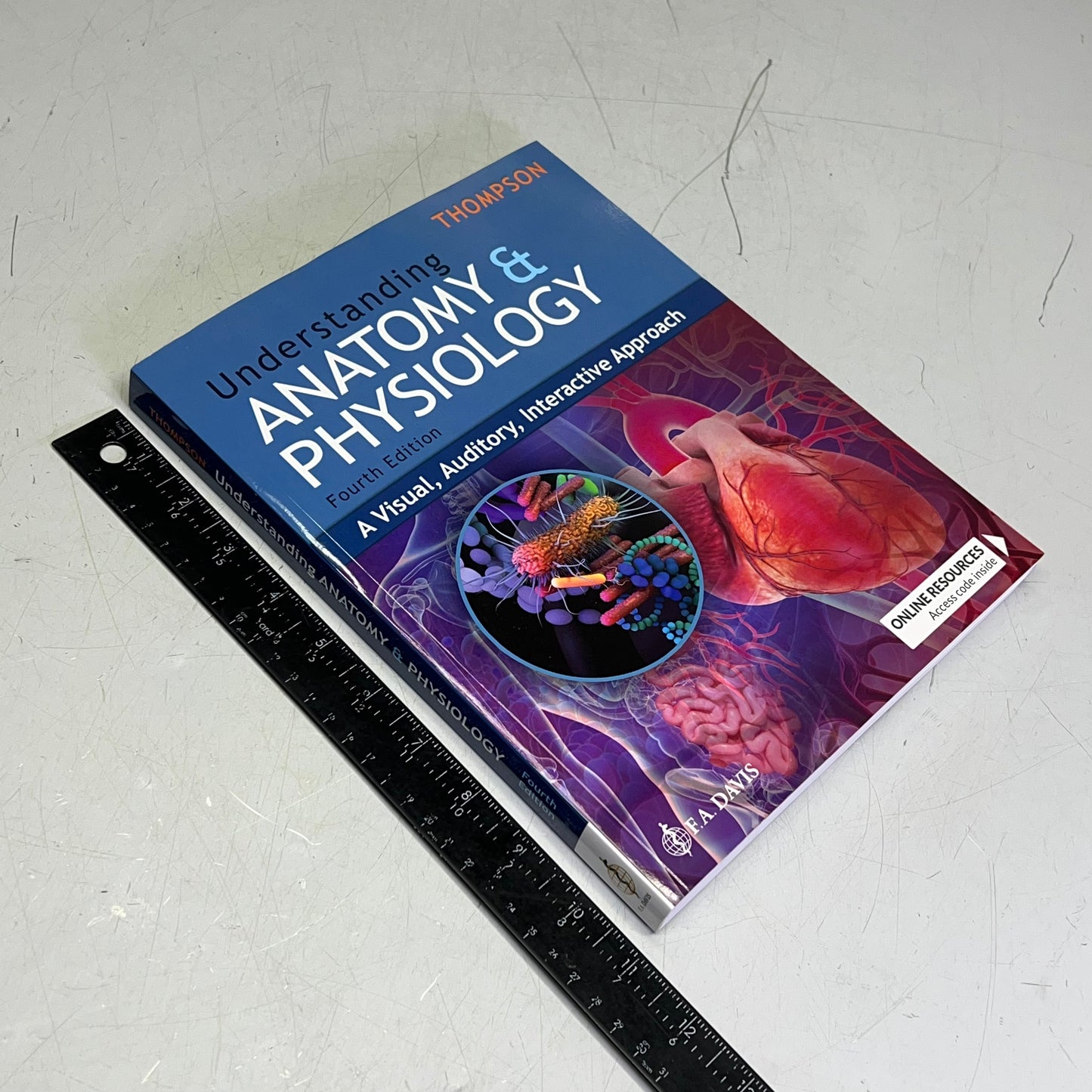 UNDERSTANDING ANATOMY & PHYSIOLOGY 4th Edition Paperback Book F.A. DAVIS