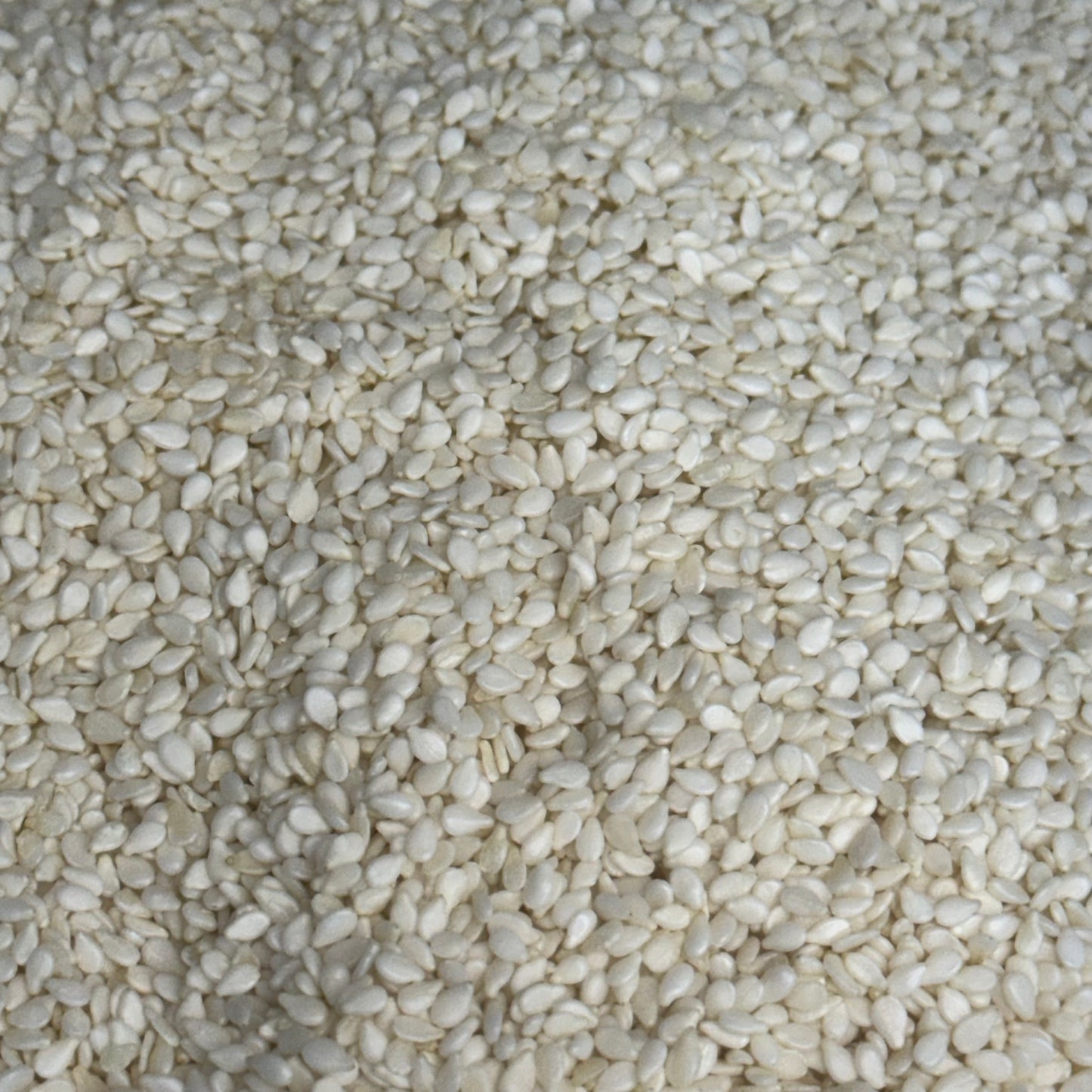 BAKESENSE Hulled Sesame Seeds 10 Lbs 73426