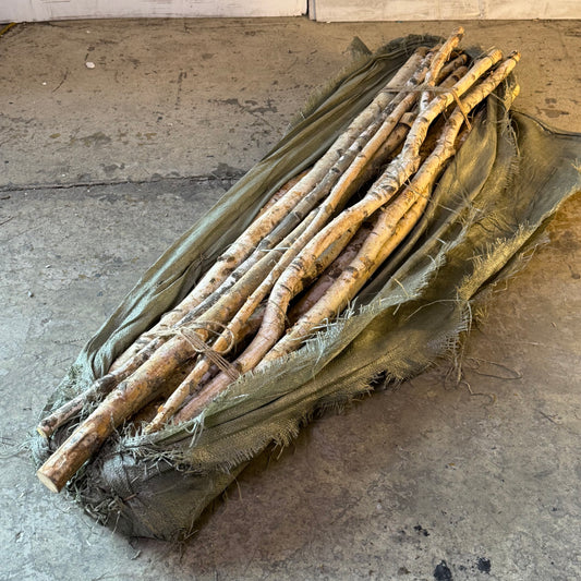 CREATIVECO-OP (16 Pcs) Long Wood Birch Branch 59"L Wood DA3953