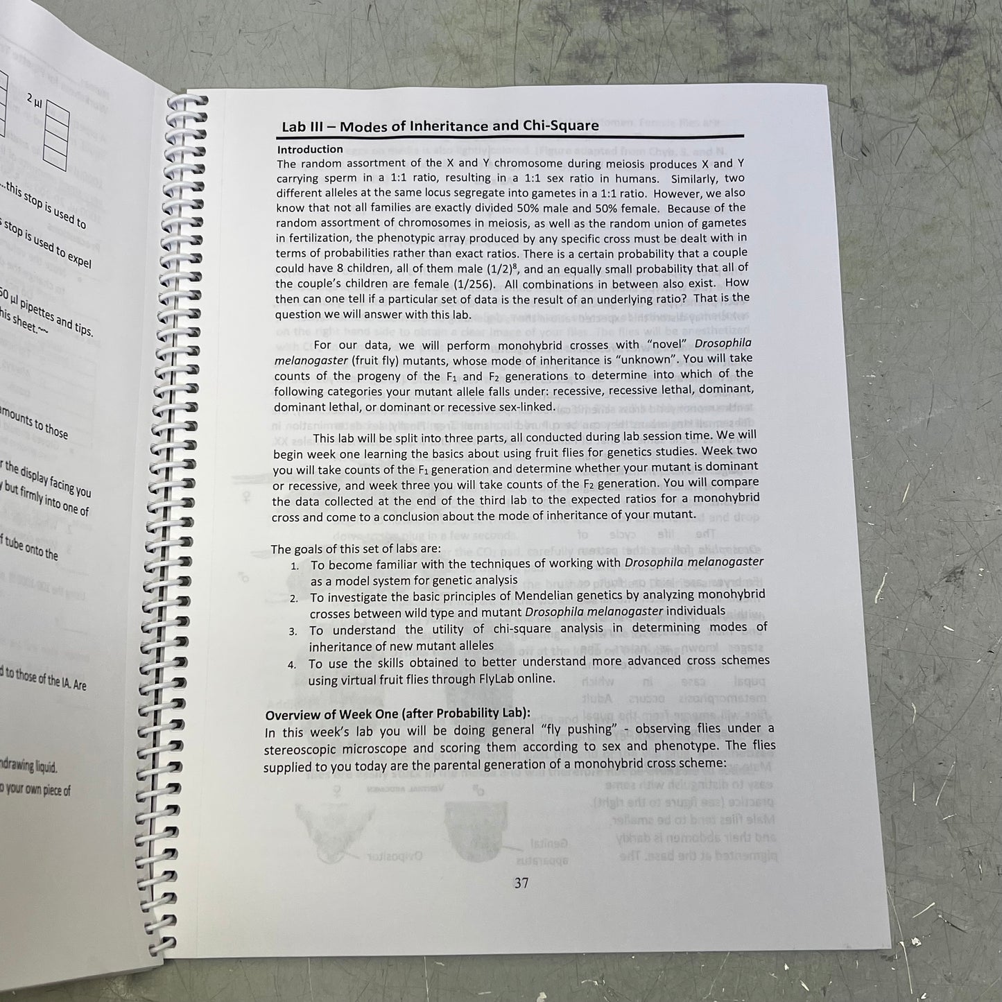 GENETICS 2450 Laboratory Manual Book For Texas State University Spring Of 2024