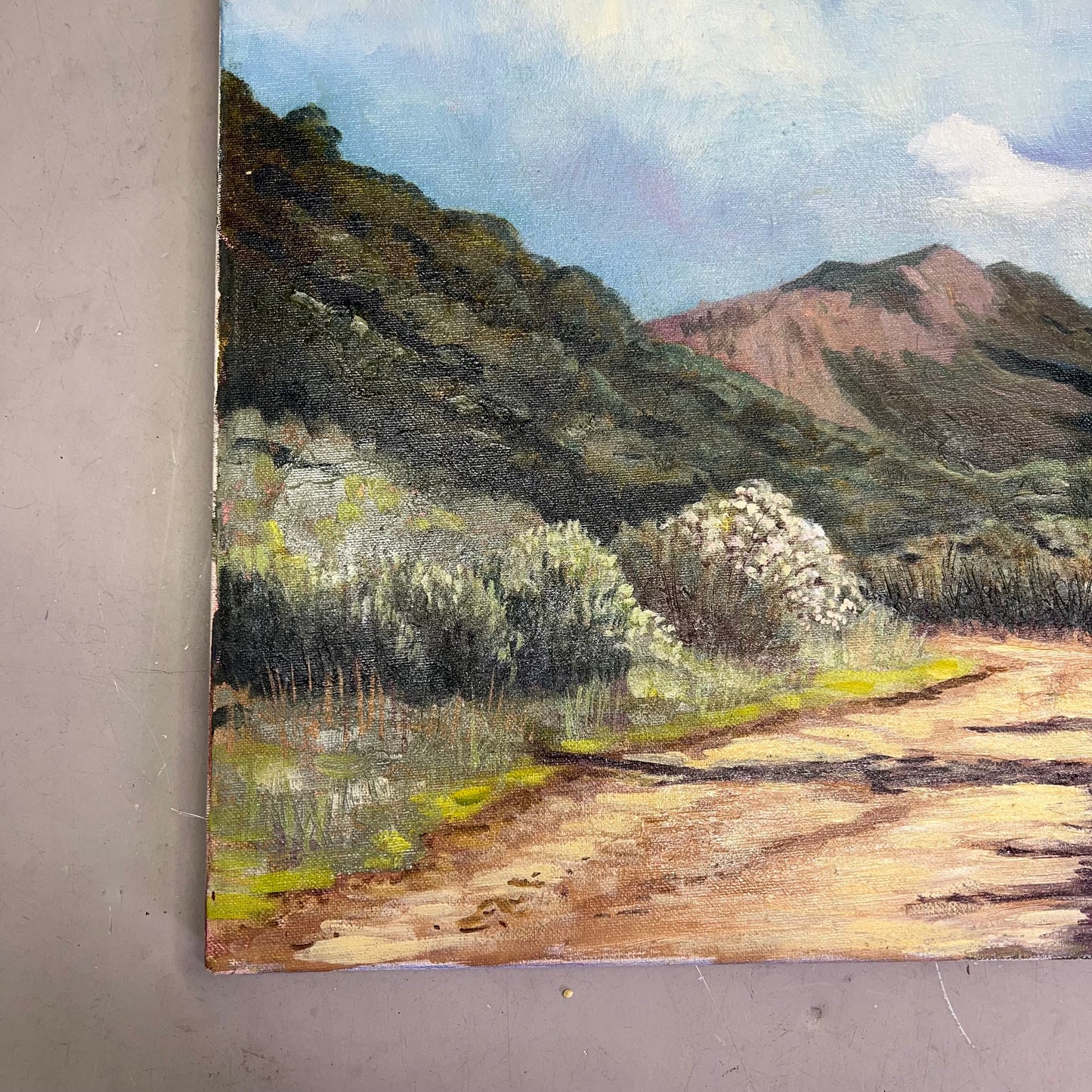 VERNA MARIE (CAMPBELL) Textured Oil Panting On Canvas Desert Mountains 24"x20"
