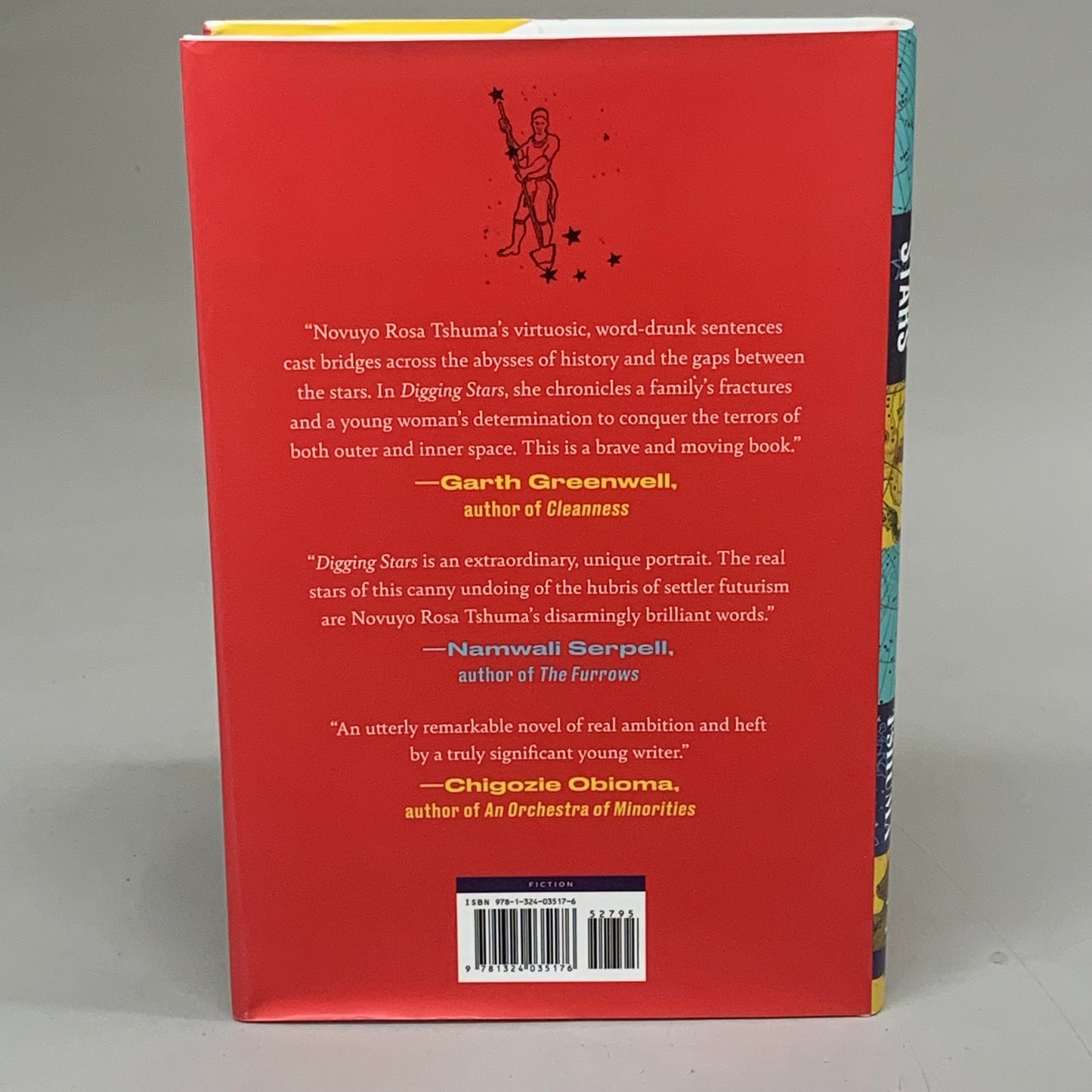 NORTON Novuyo Rosa Tshuma Digging Starts 288 Pages