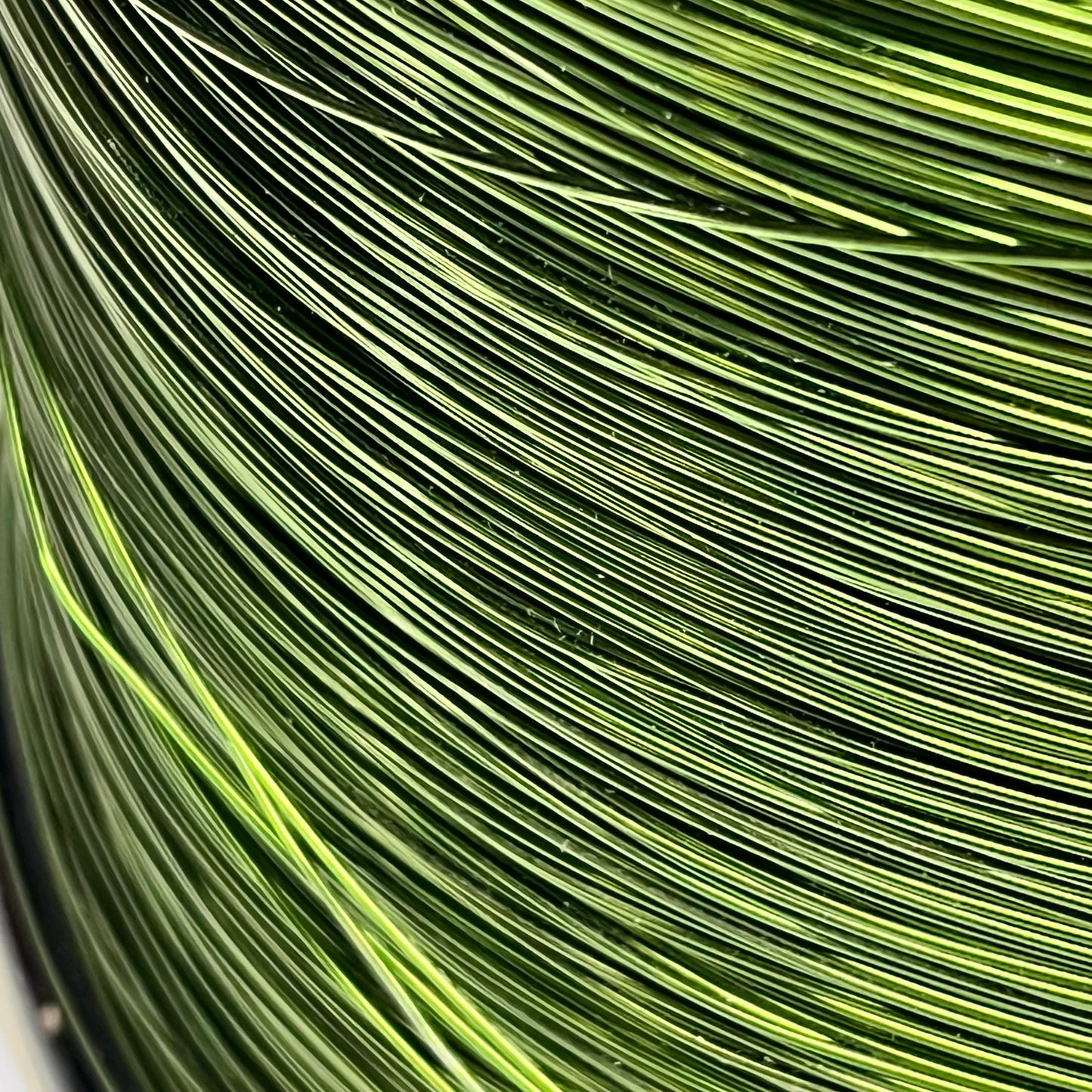 ELEKTRISOLA Copper Magnet Wire Polyester AQ18 18 AWG Green C141BX00180081A